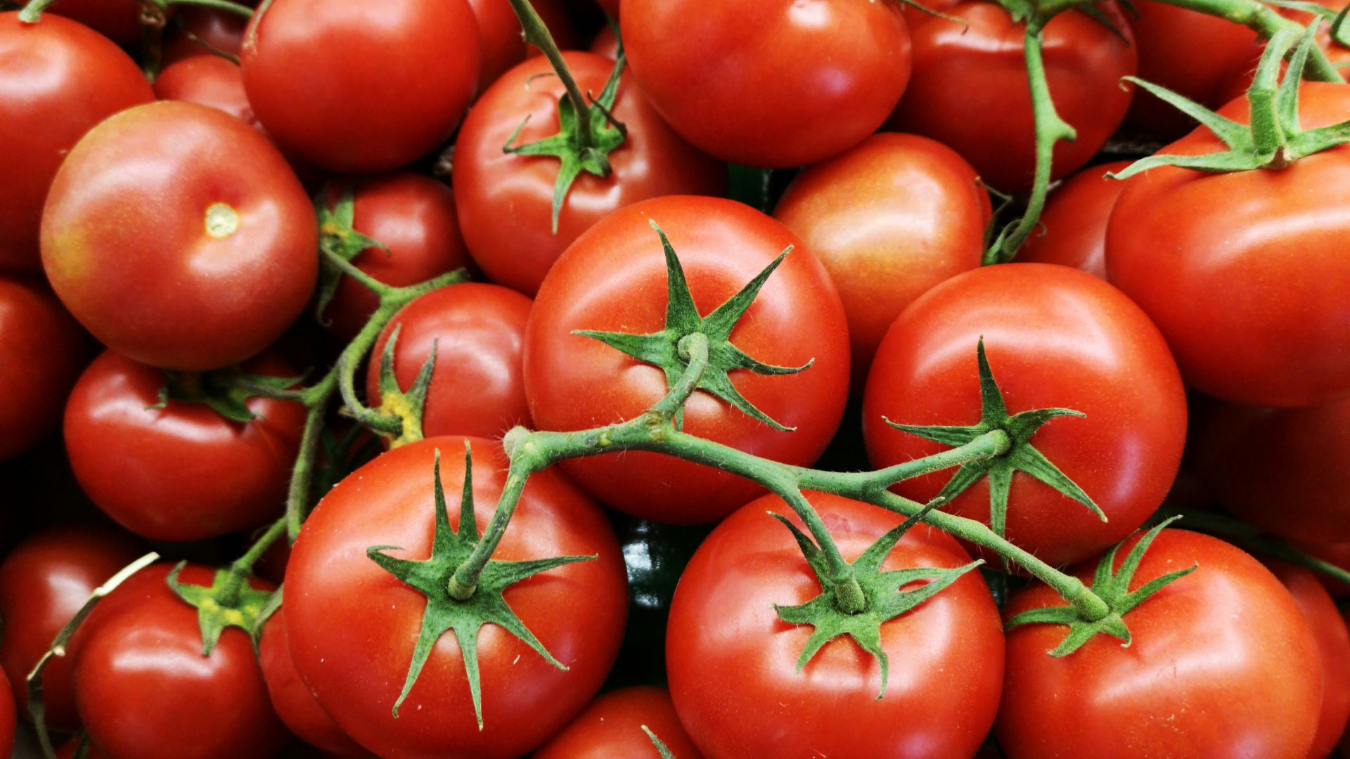 7. Gelée de tomates