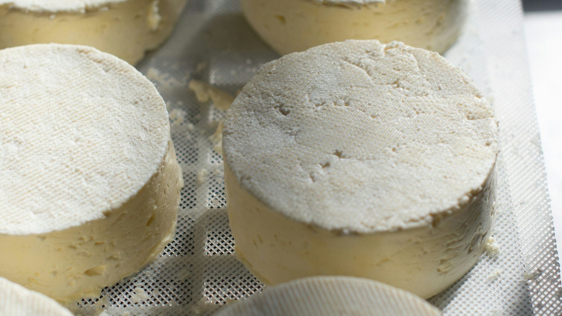 10. Le fromage vieux de 3 200 ans