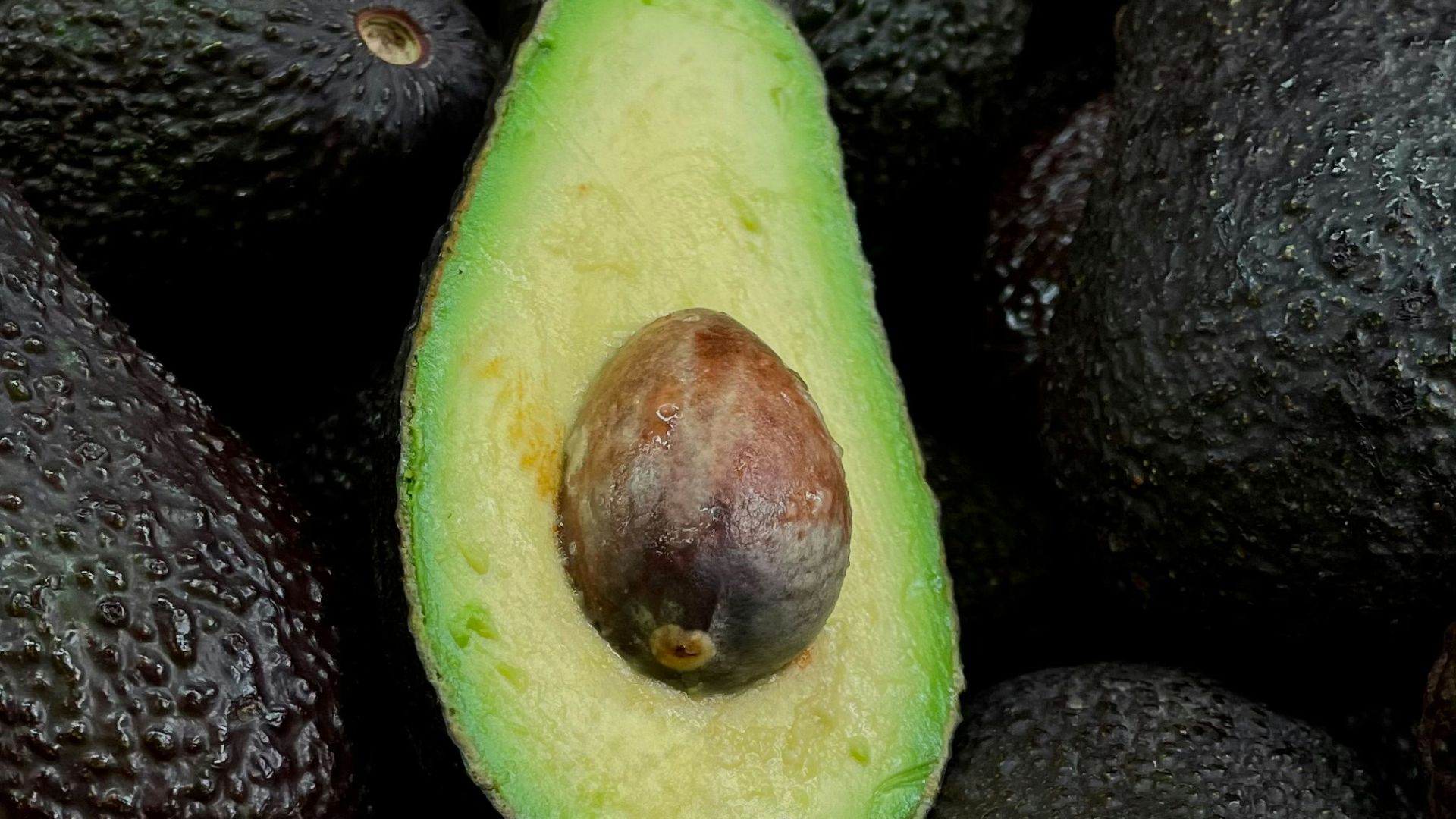 2. Les avocats
