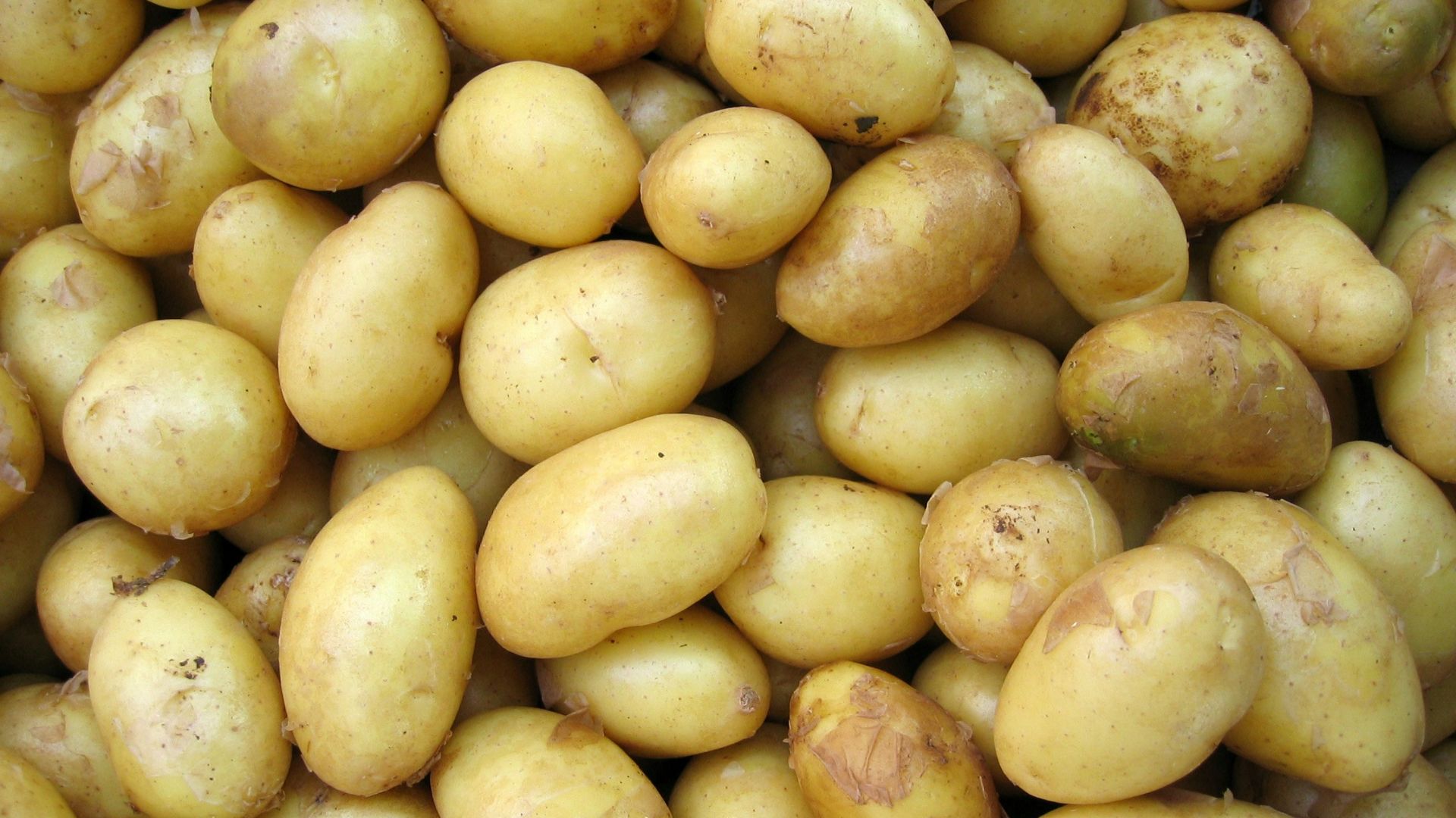 4. Pommes de terre
