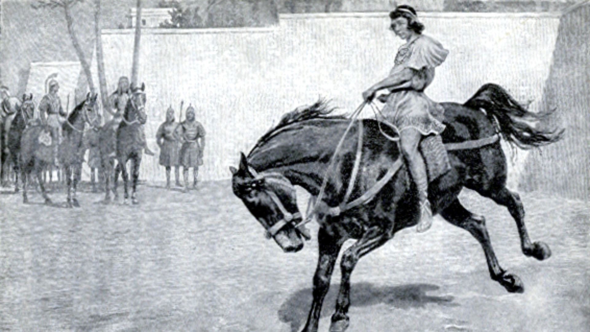17. Bucéphale