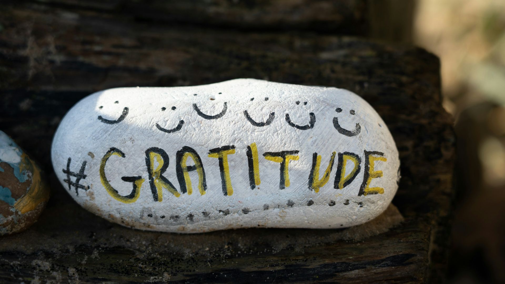 17. Cultiver la gratitude de manière plus consciente