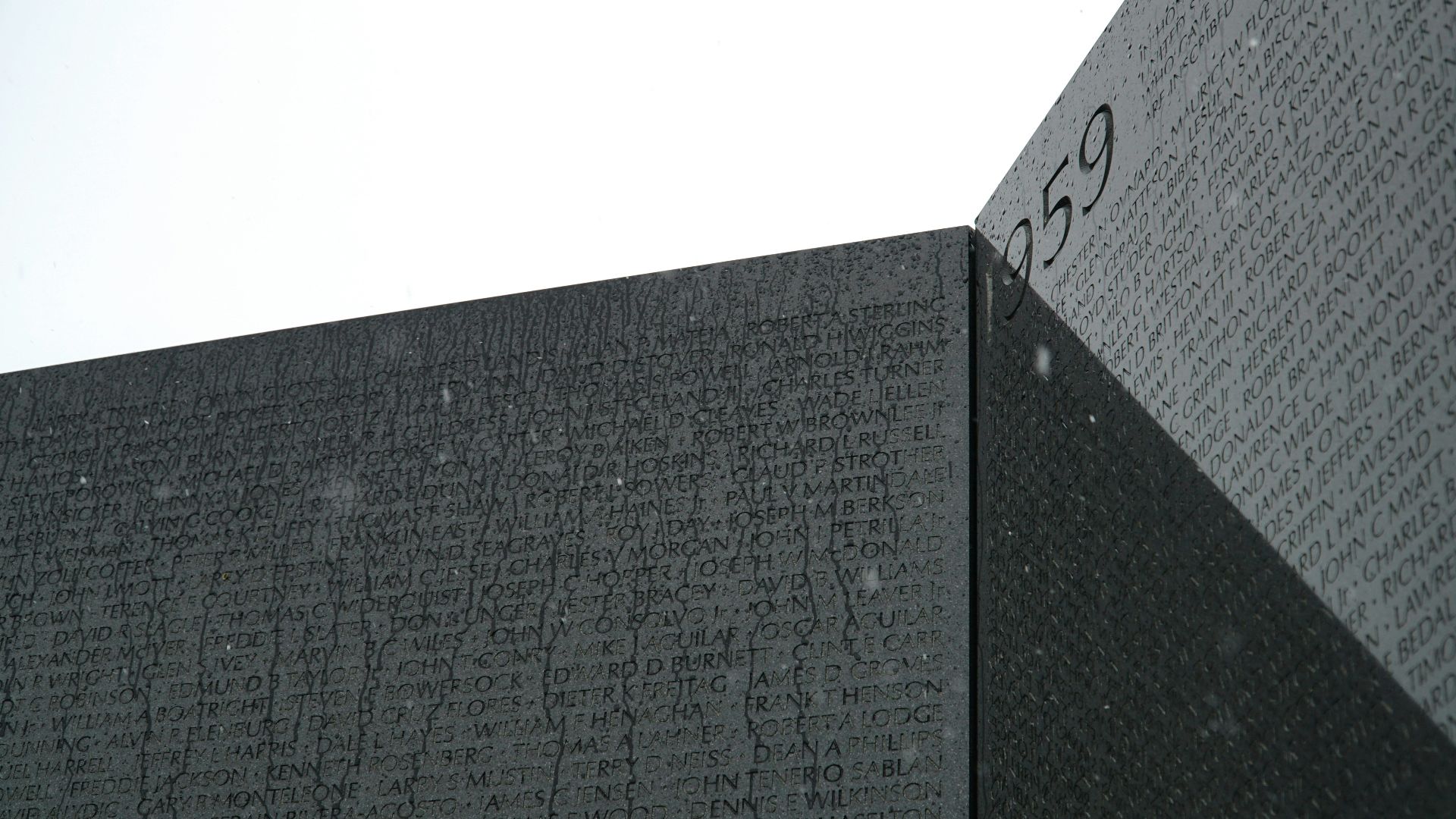 19. Le Mémorial des vétérans du Vietnam