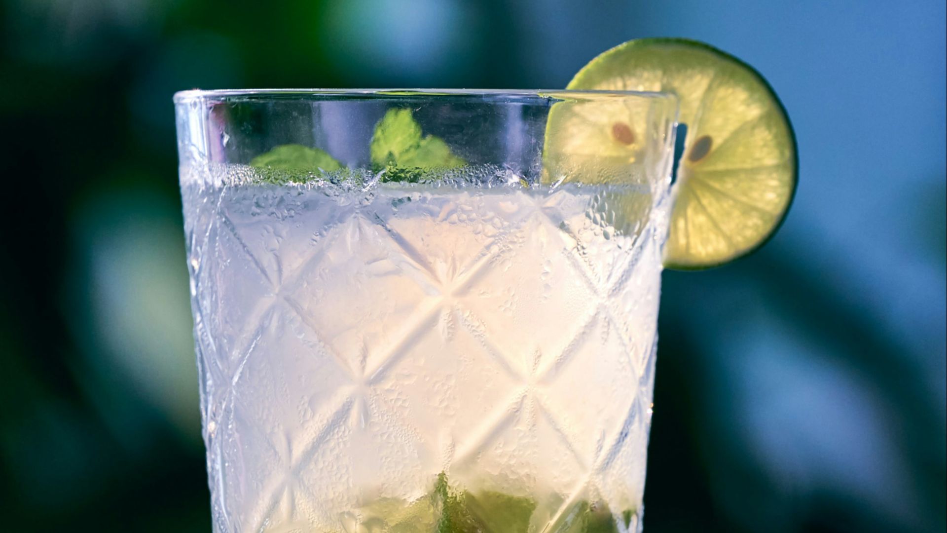 20. Tout ce qui est à la Chartreuse