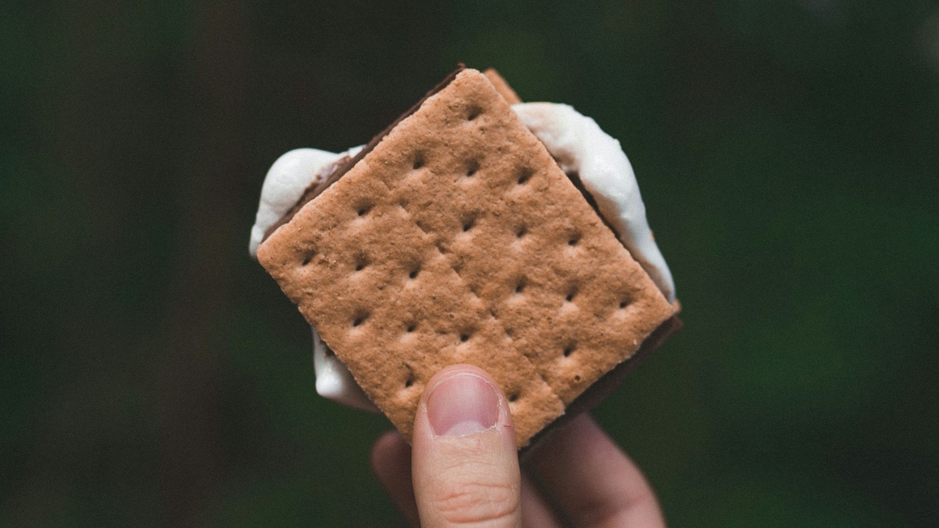 5. S’mores