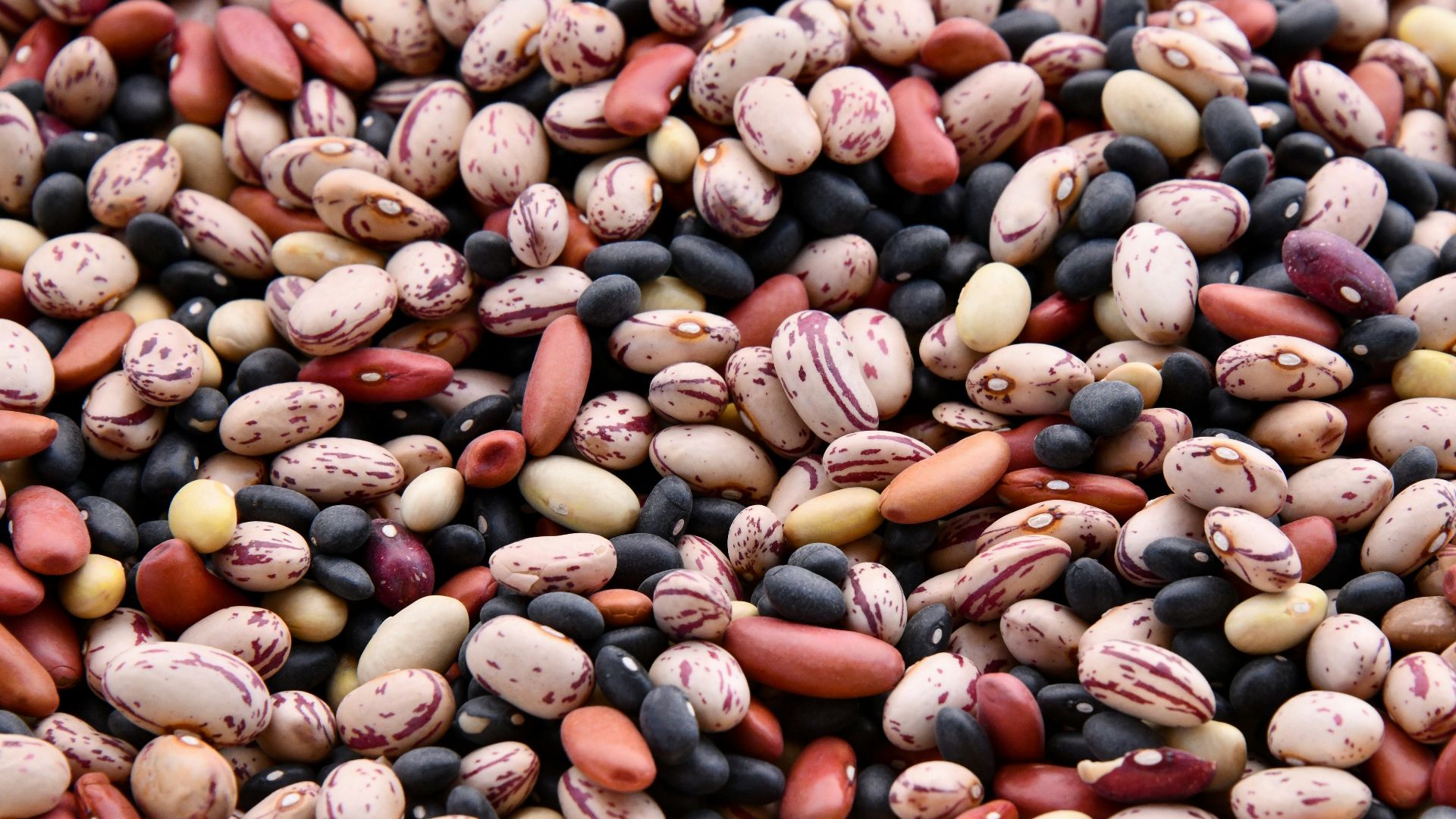 8. Haricots