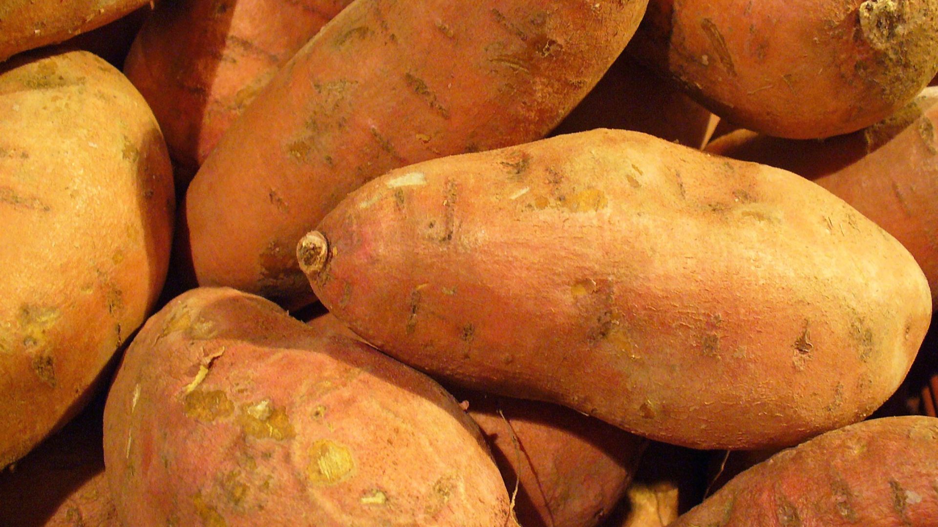 14. Patates douces
