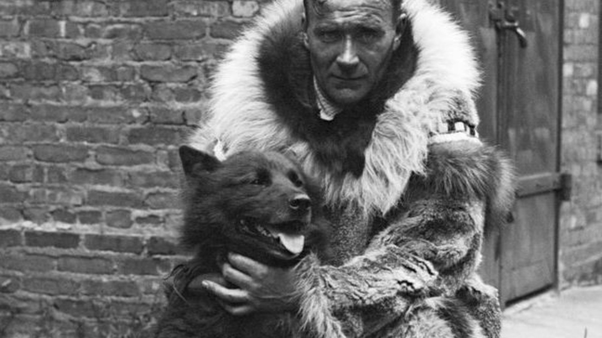 20 animaux héroïques qui ont marqué l’histoire de l’humanité