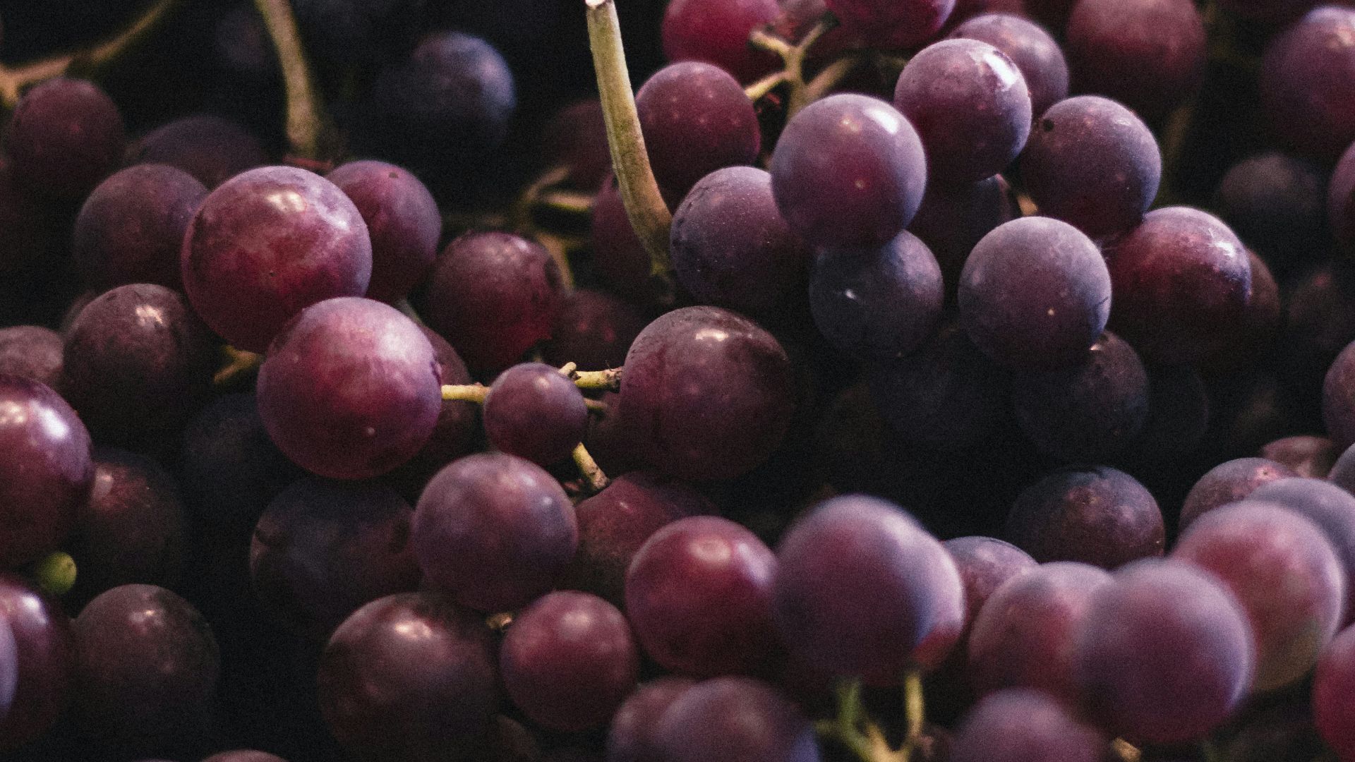 9. Raisins frais