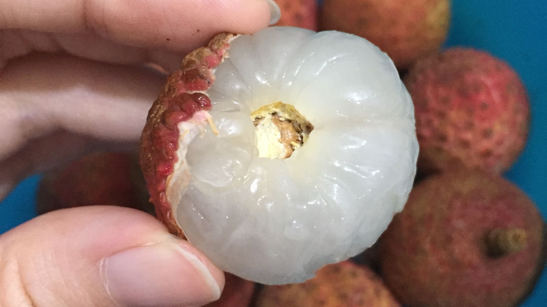 15. Litchi