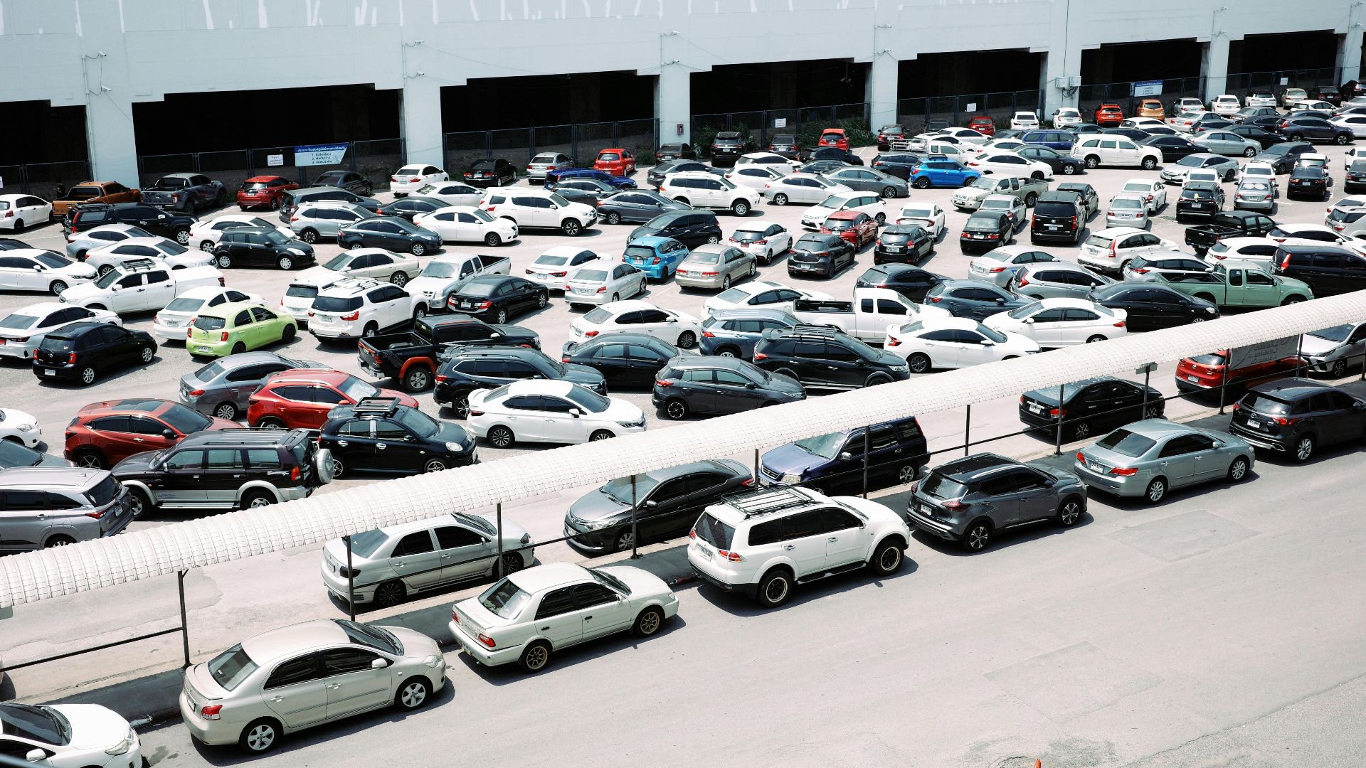 9. Le vautour des parkings