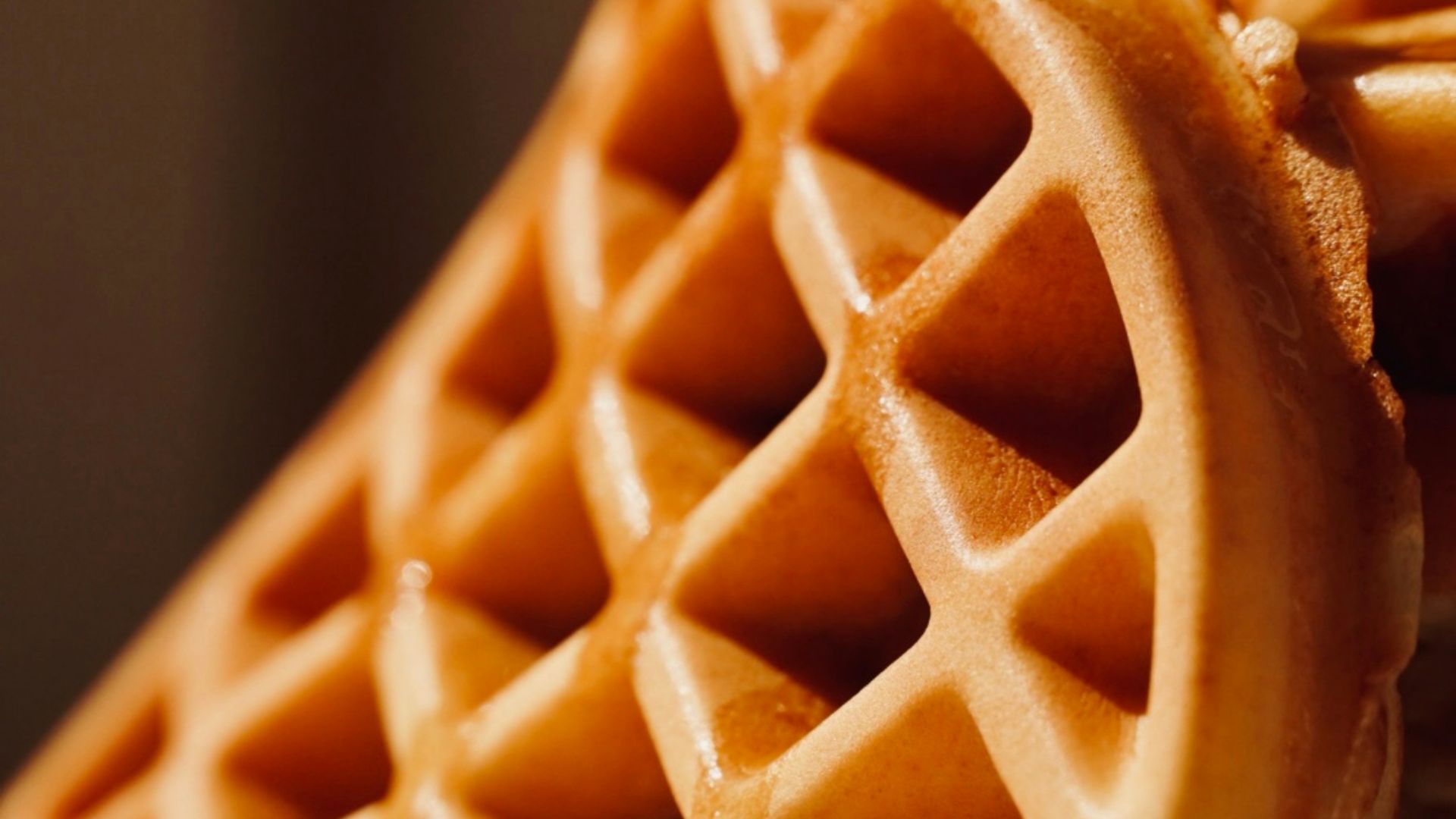 15. La pauvre gaufre surgelée solitaire