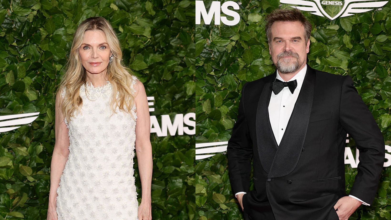Michelle Pfeiffer et David Harbour s’éclatent sur le tapis rouge des Gotham TV Awards