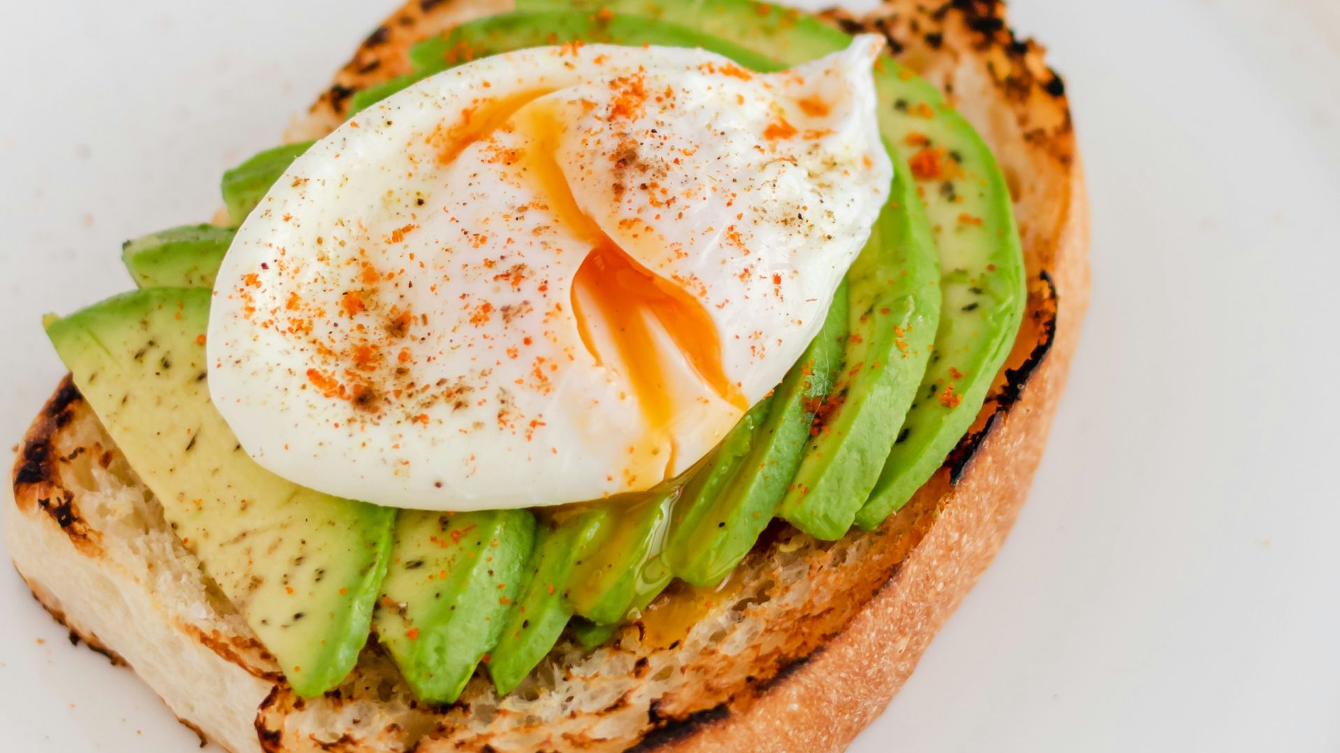 14. Toast à l'avocat