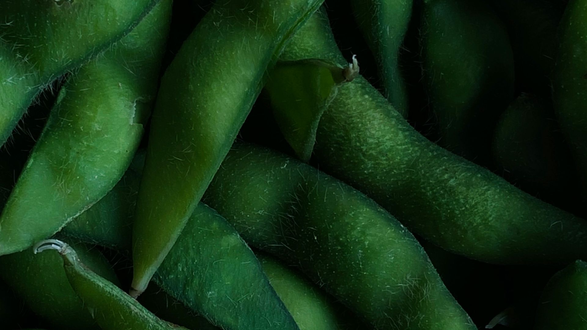 5. Edamame