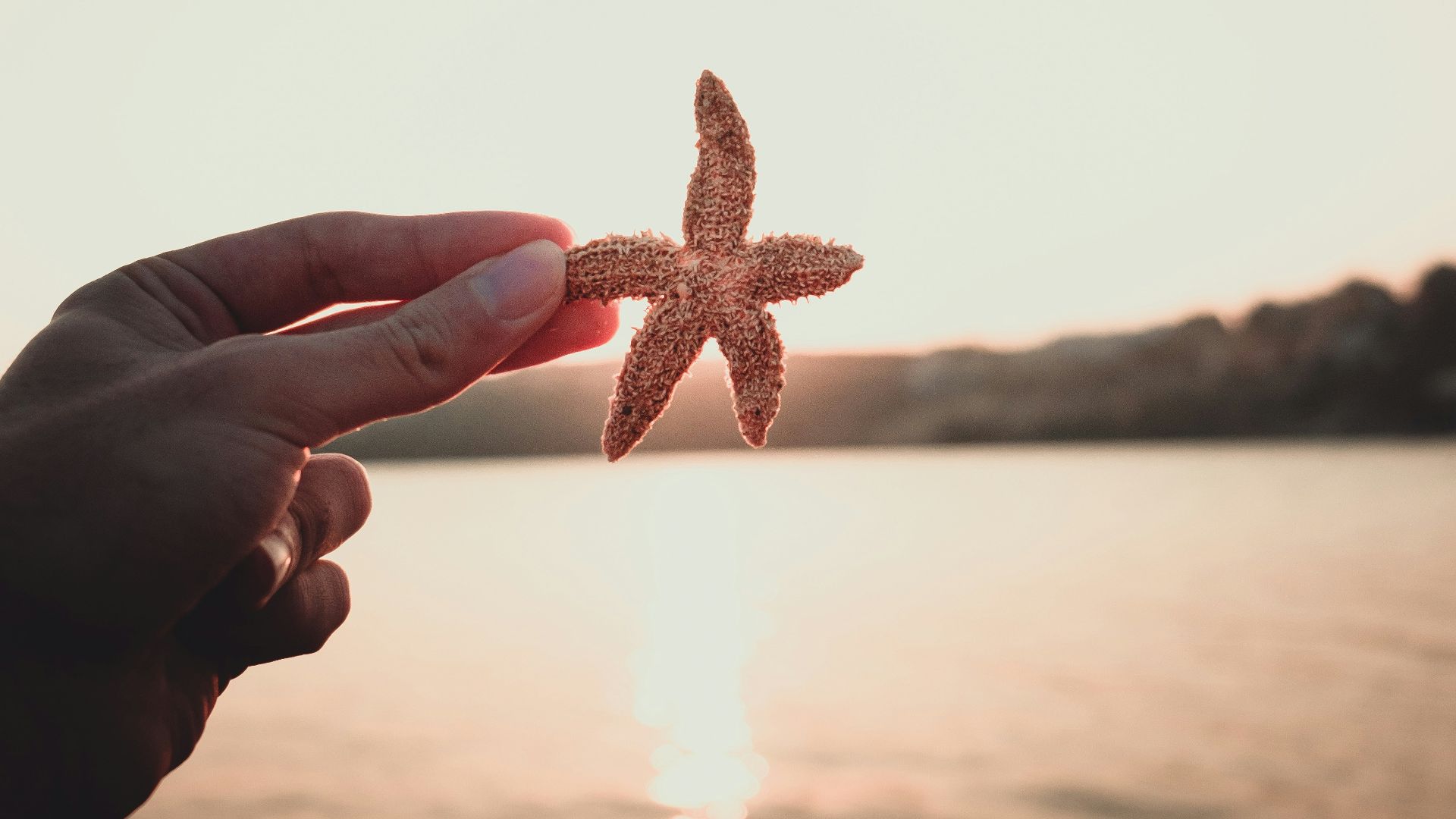 11. Manucure décorée d'étoiles de mer