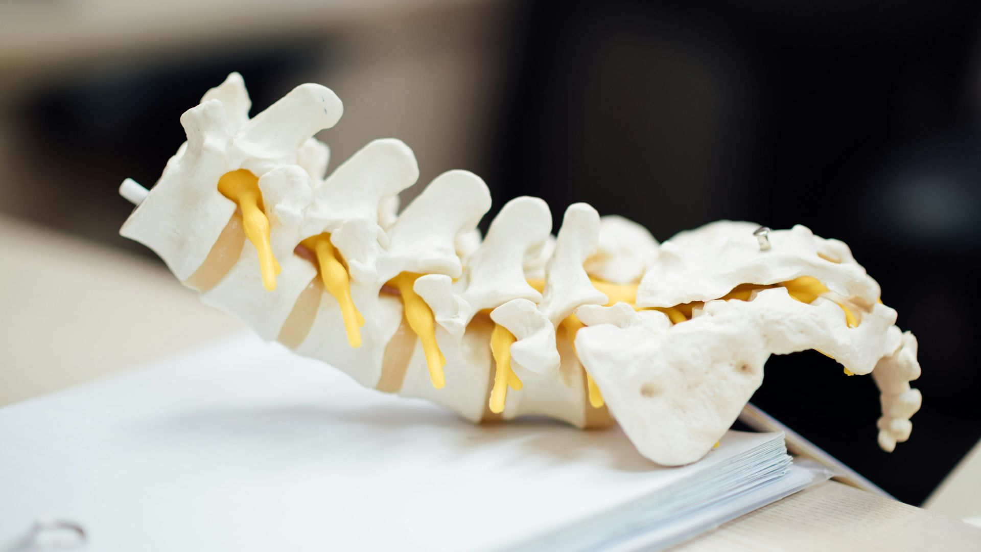 4. Articulations costo-vertébrales