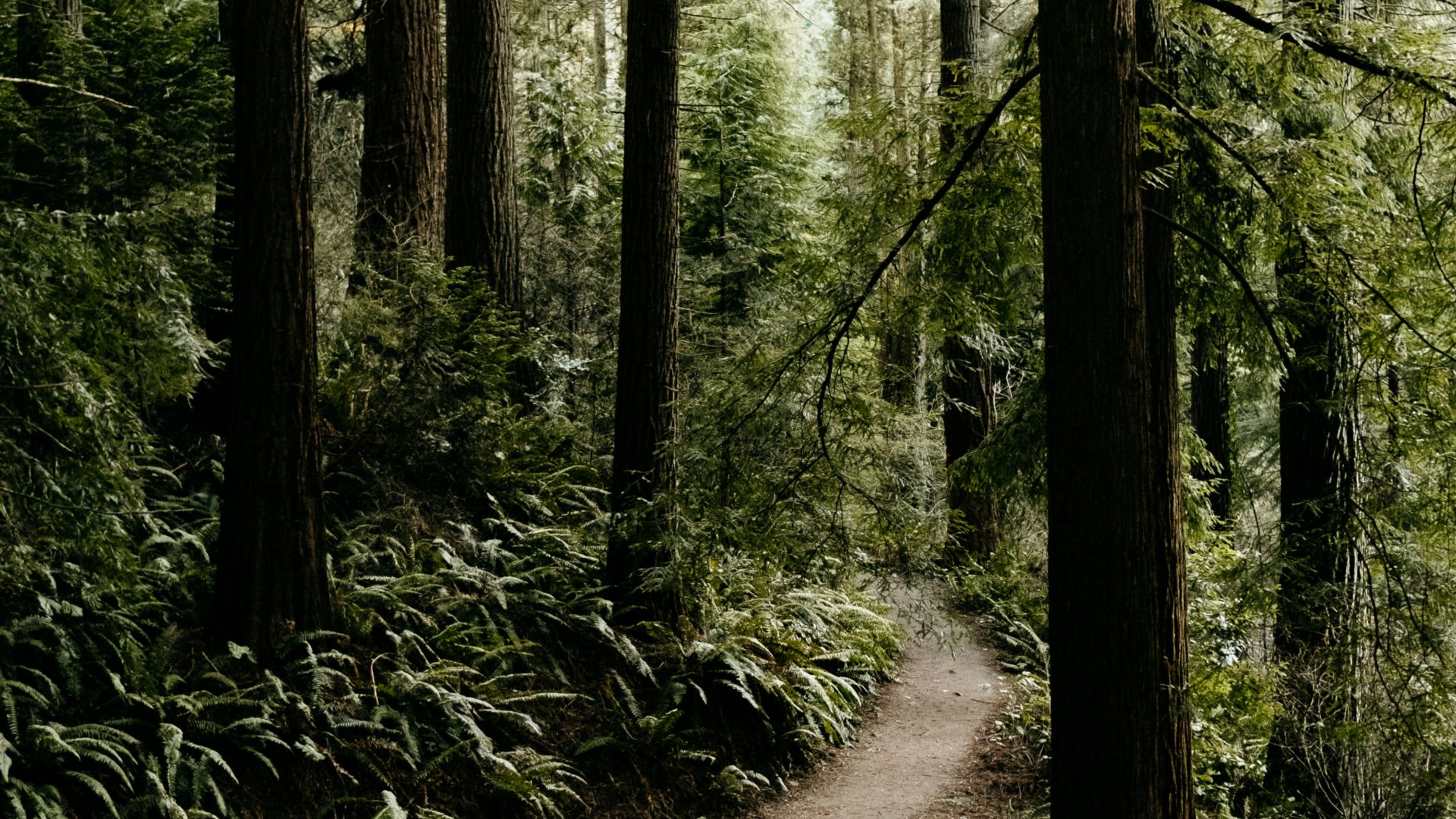 3. La piste de l'Oregon était un chemin difficile