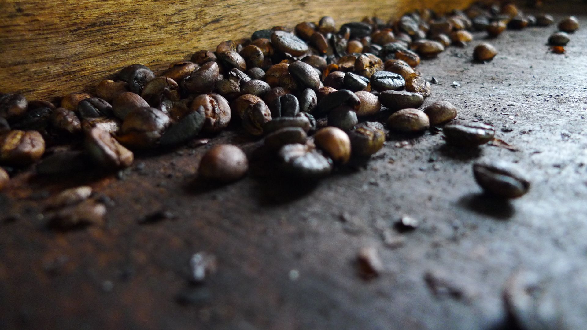 19. Café Kopi Luwak