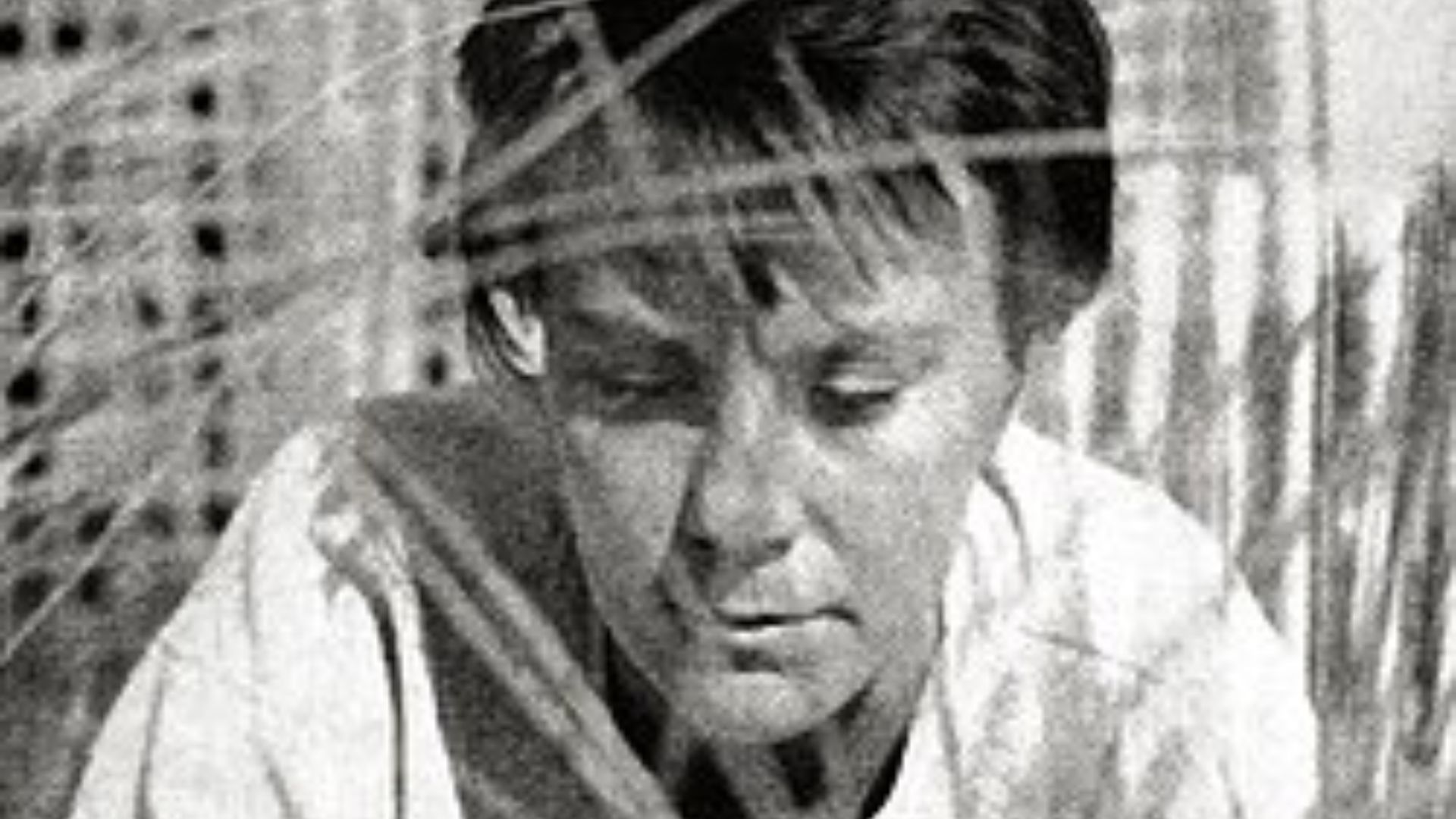 3. Harper Lee — Ne tirez pas sur l'oiseau moqueur