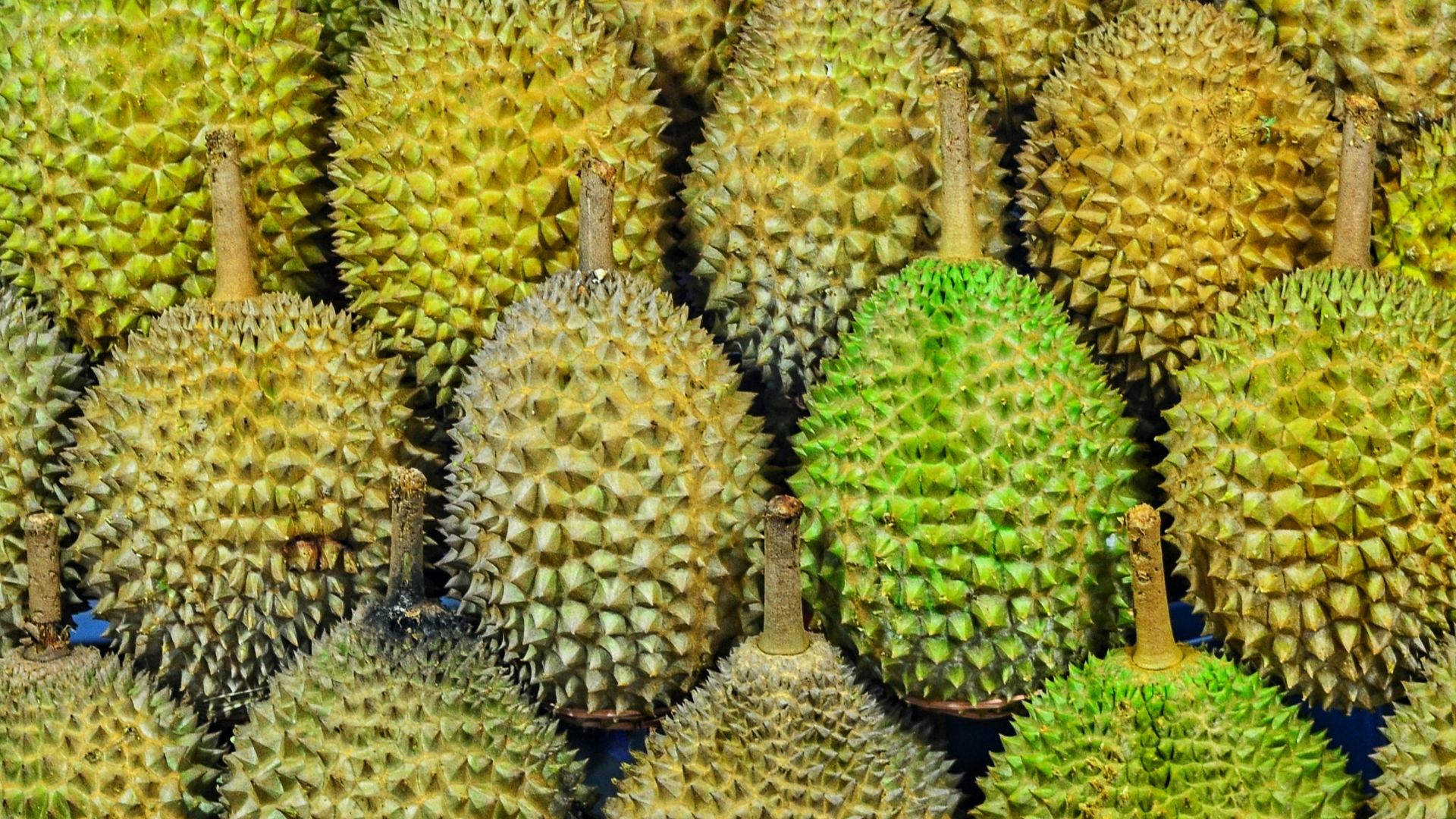 19. Durian