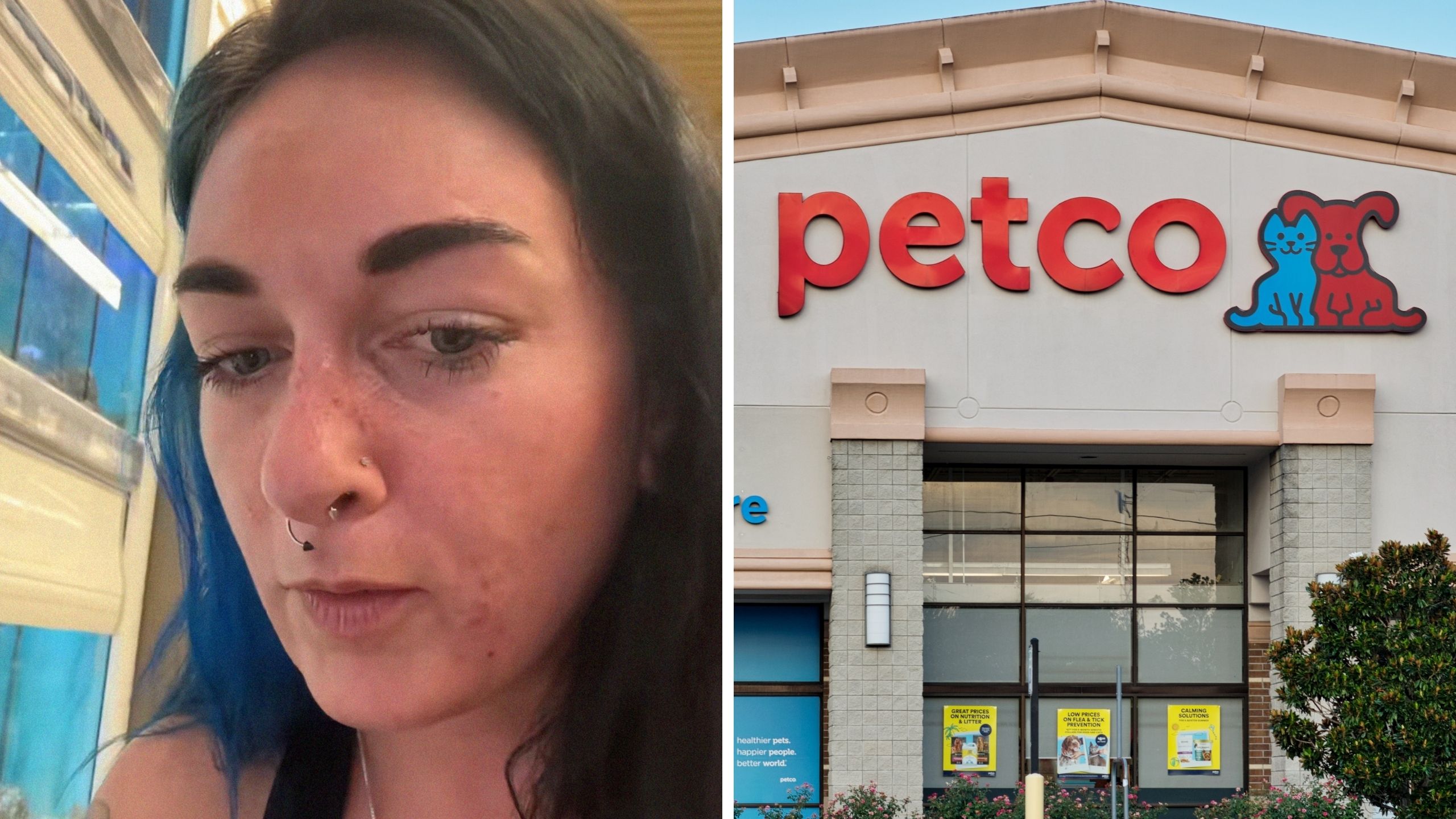 Une femme se rend chez Petco. Elle aperçoit alors une étoile de mer en train d’attaquer un poisson à 60 dollars.