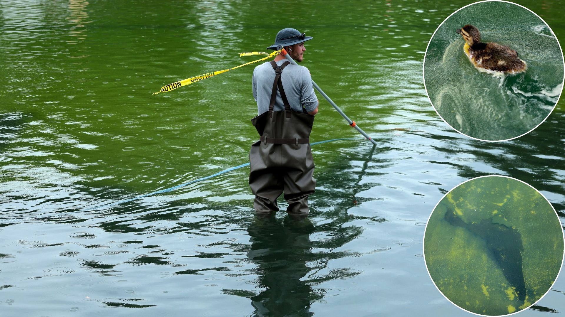 No-Bid Contracts, Green Algae and Peeling Paint: The Growing Reflecting Pool Controversy