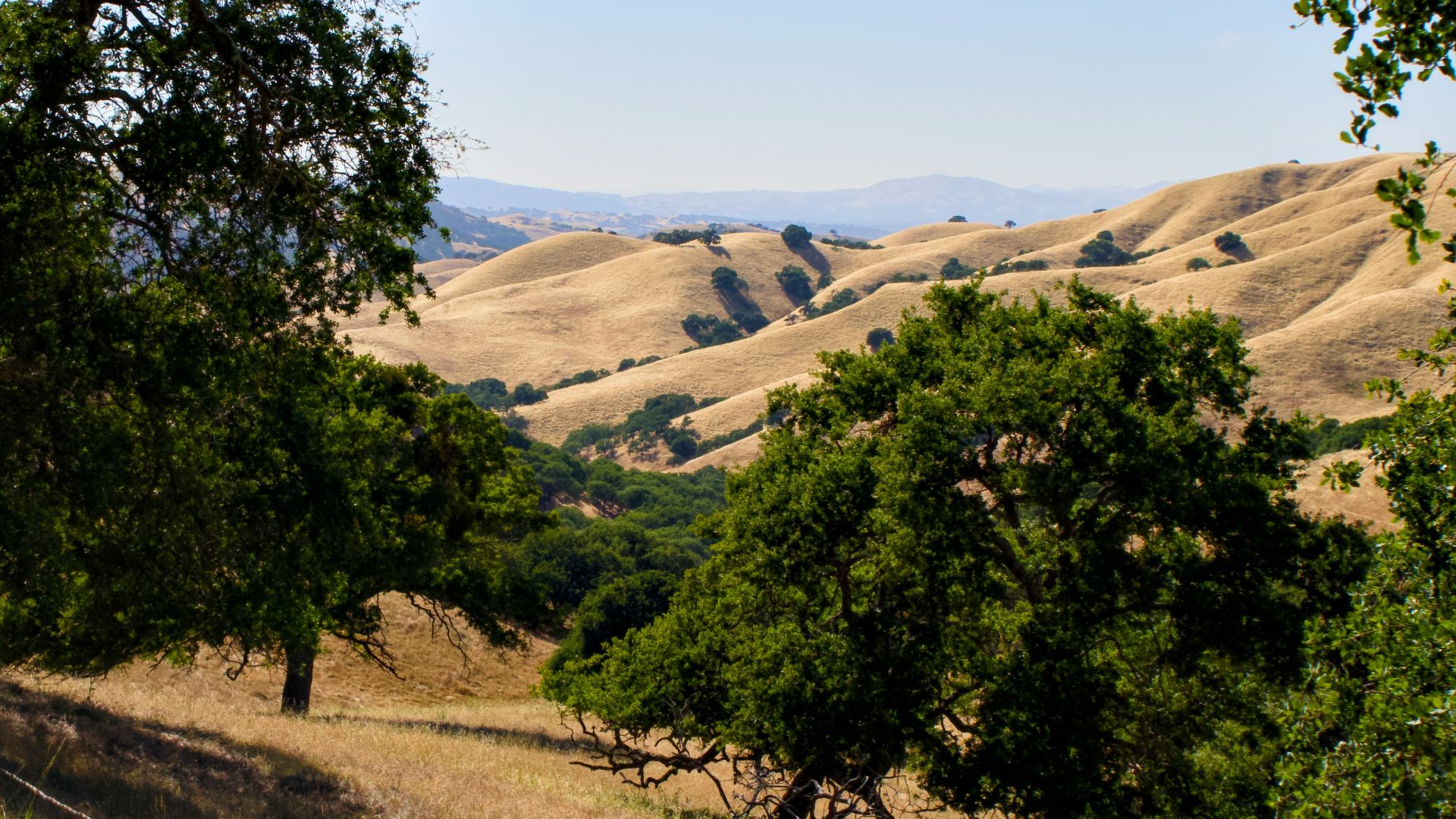 10. Earthbound Farm, États-Unis