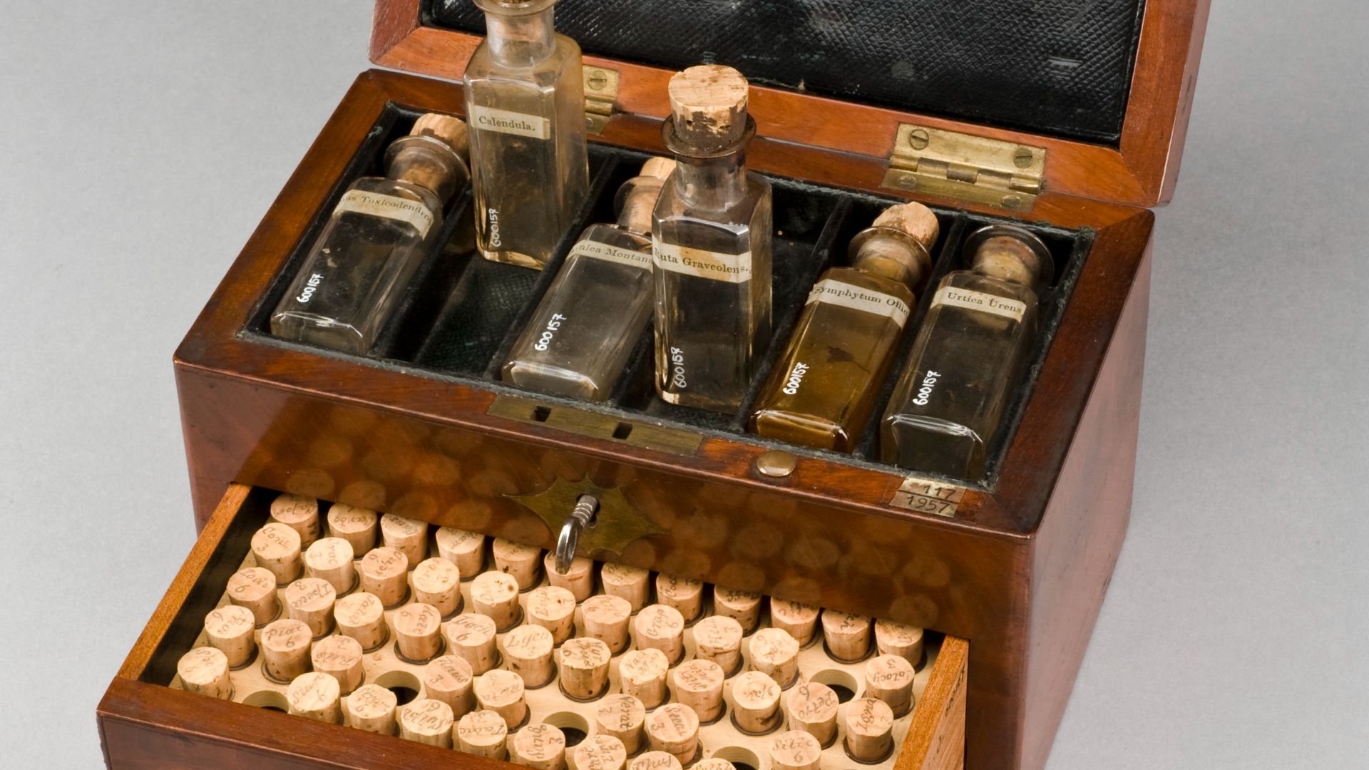 13. Doses homéopathiques infimes