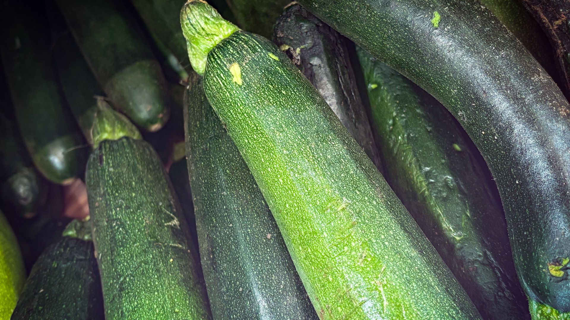 8. Courgette