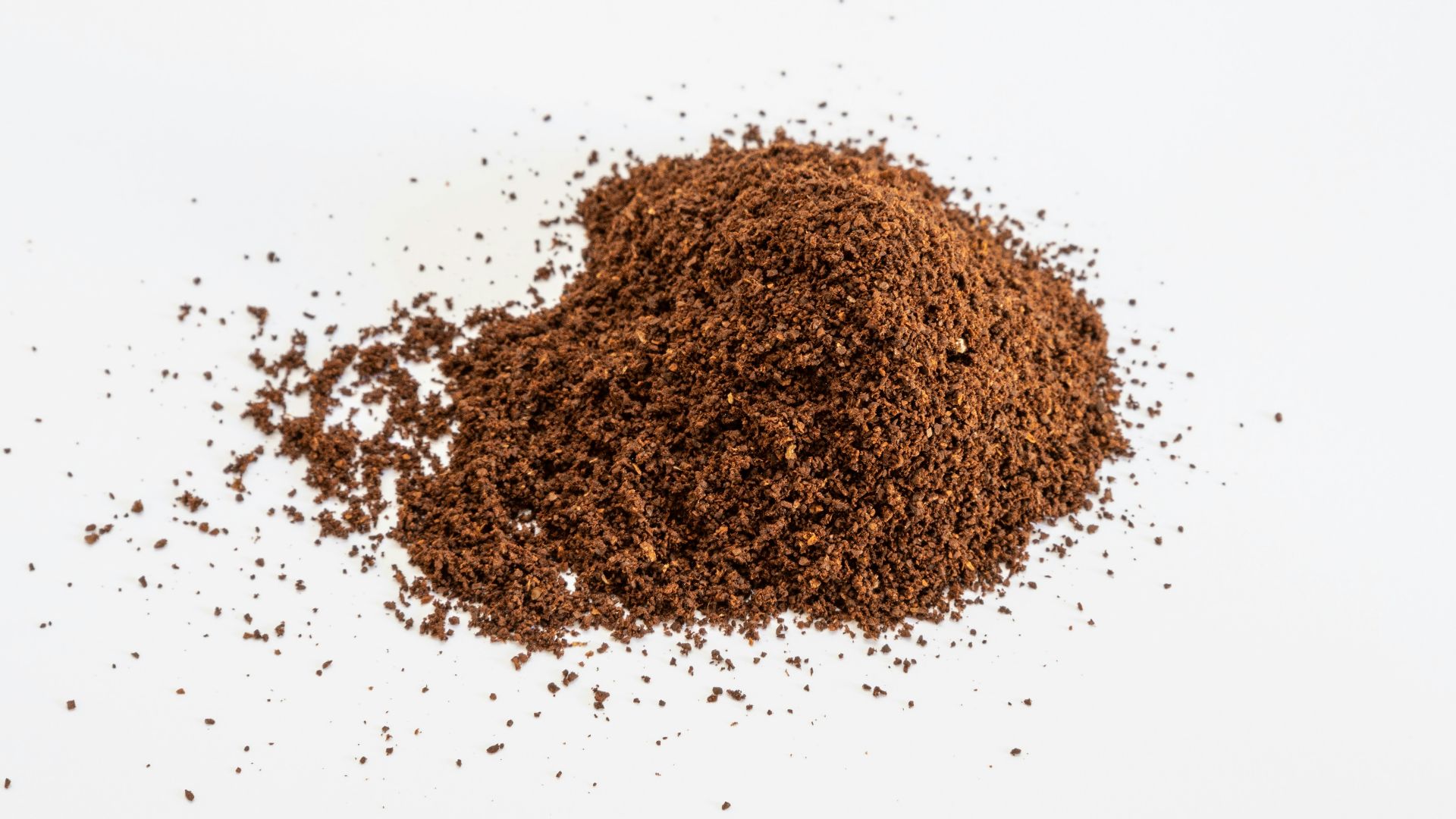 2. Cacao en poudre non sucré