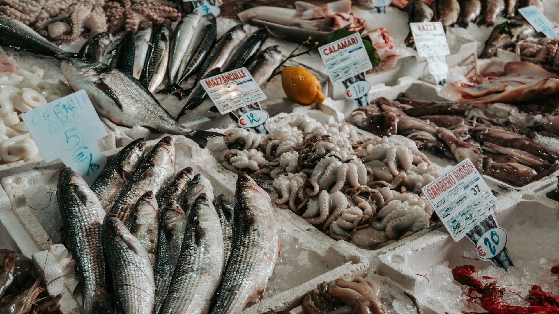 1. Poisson