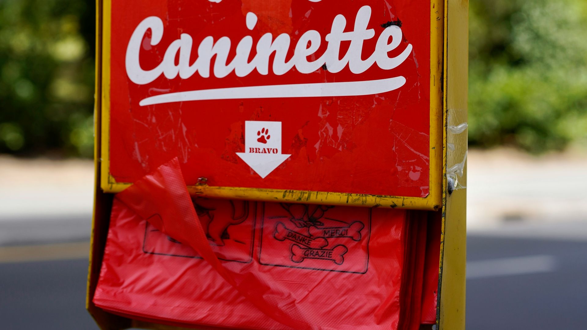 10. Sacs pour ramasser les crottes