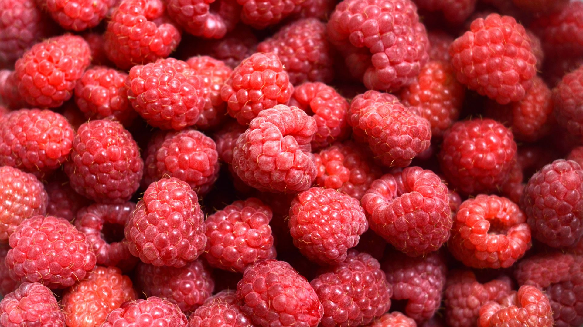 4. Framboises