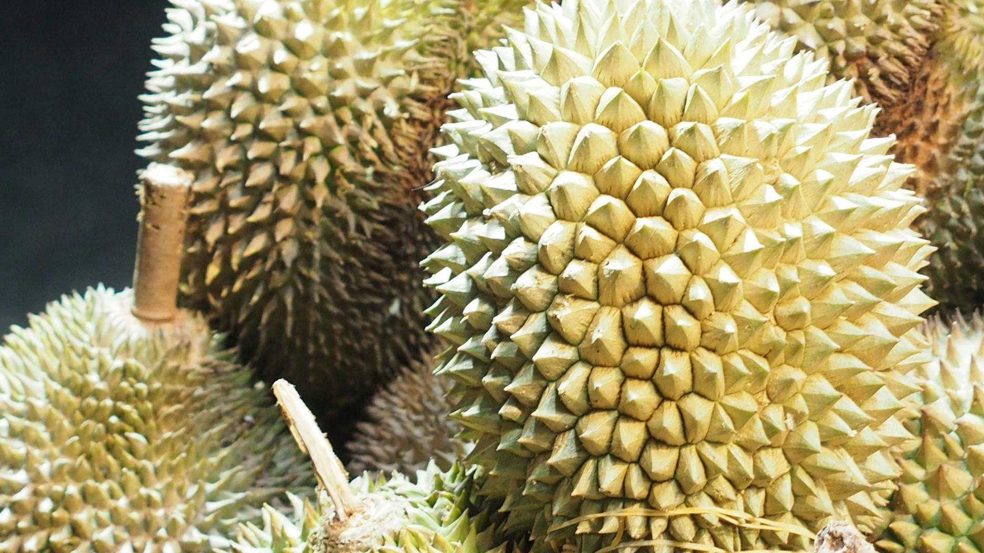 3. Chips de durian de Thaïlande