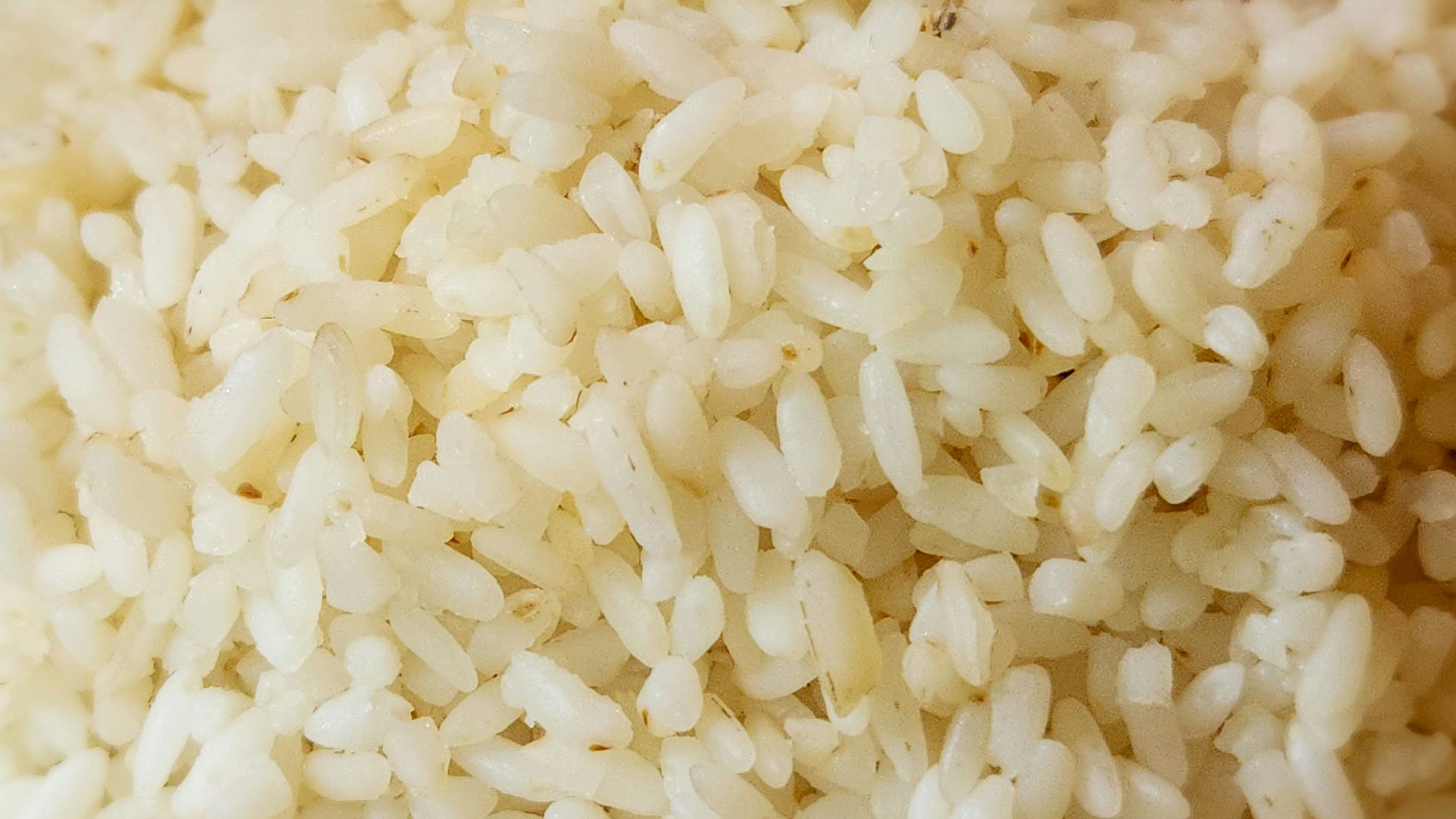 11. Mélanges de riz en boîte