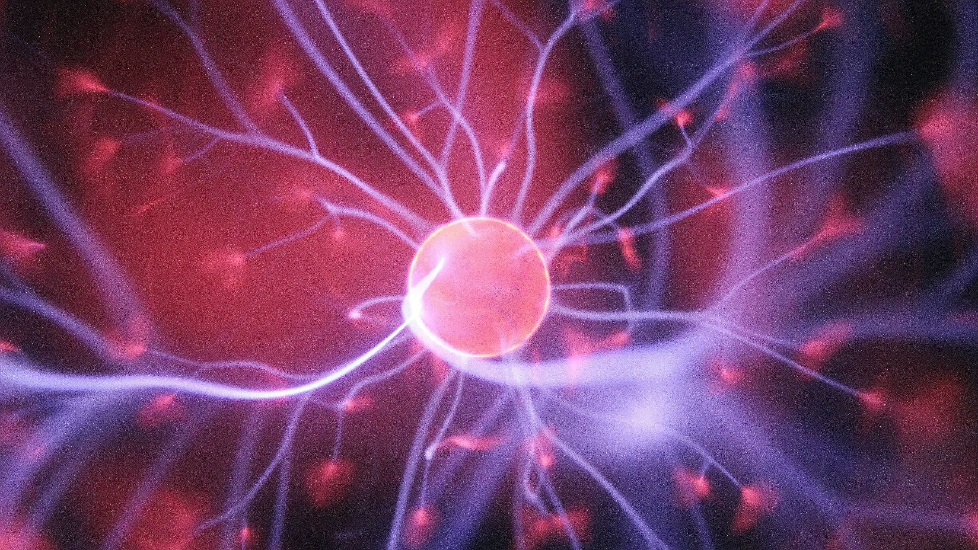 3. Perdre la moitié de son cerveau