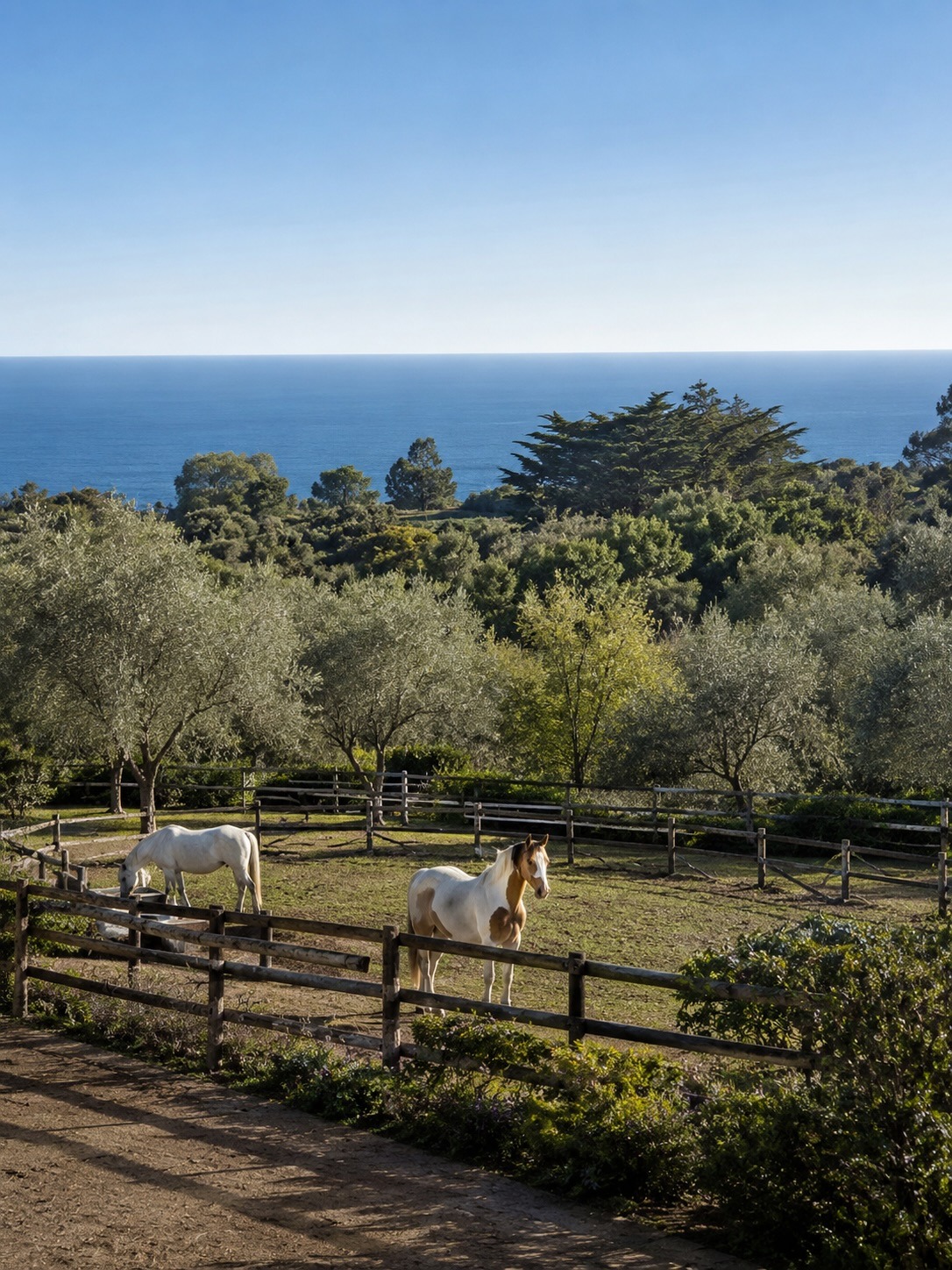 View of the paddocks and the ocean