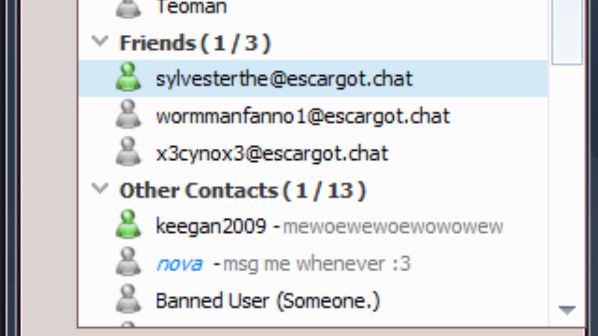 3. MSN Messenger