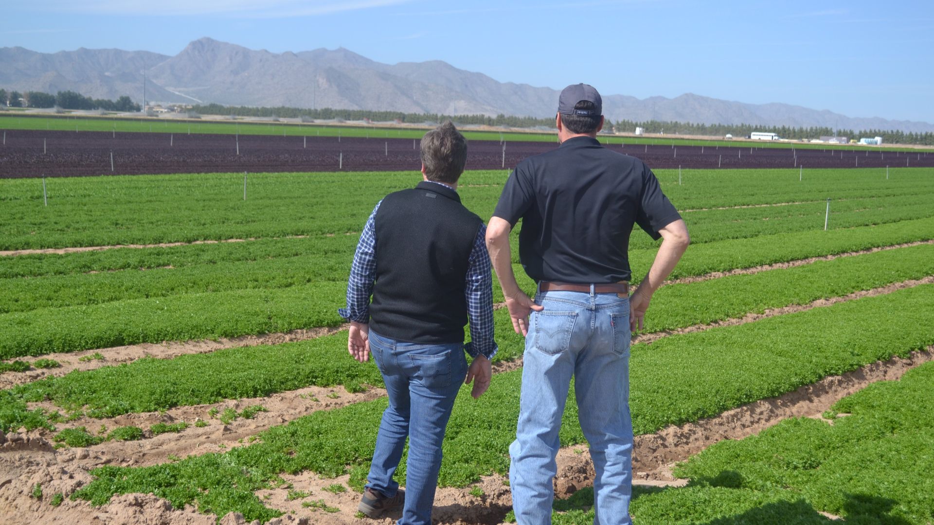 19. Duncan Family Farms, États-Unis