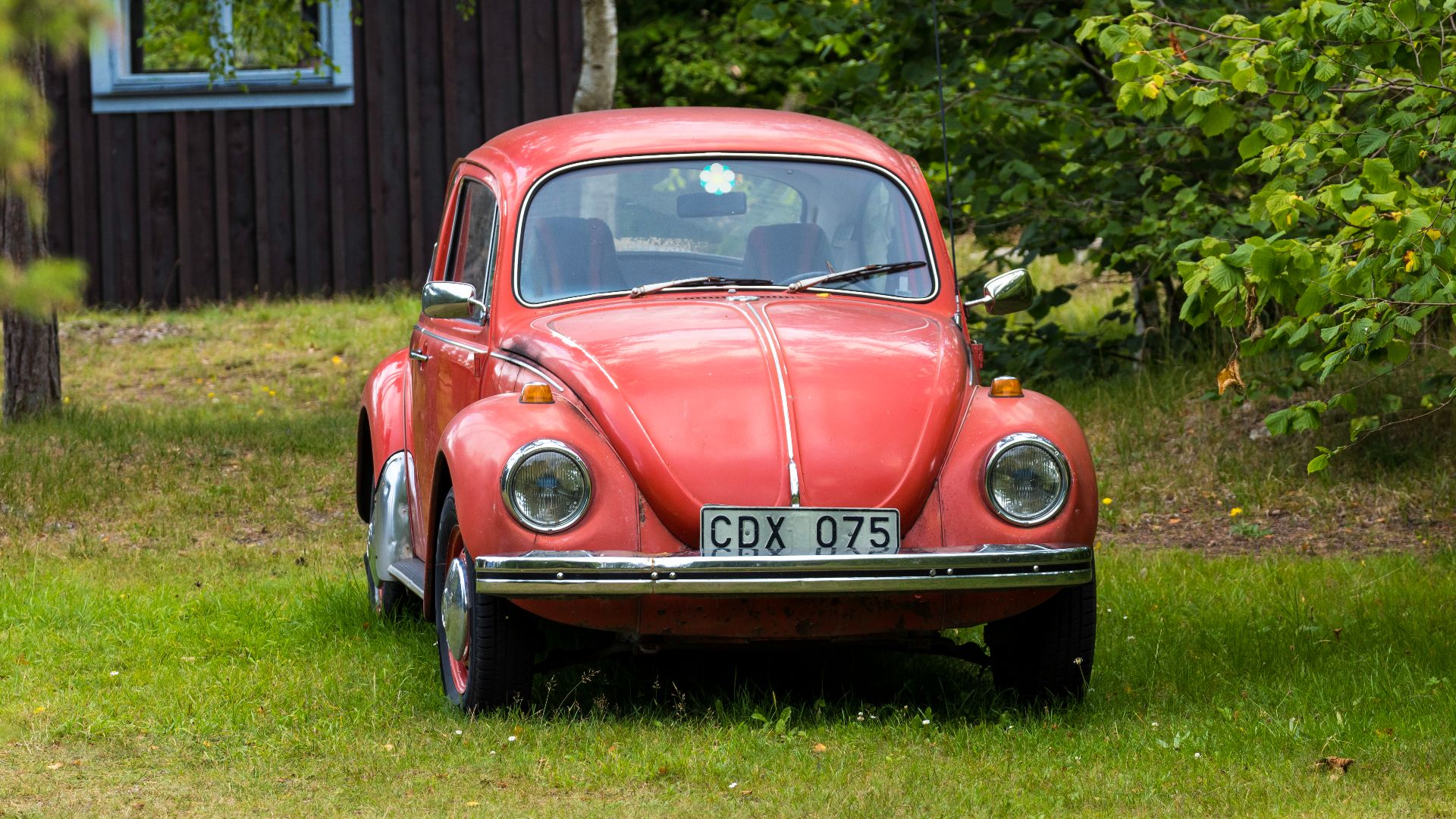 1. La Coccinelle originale (1938 à 2003)