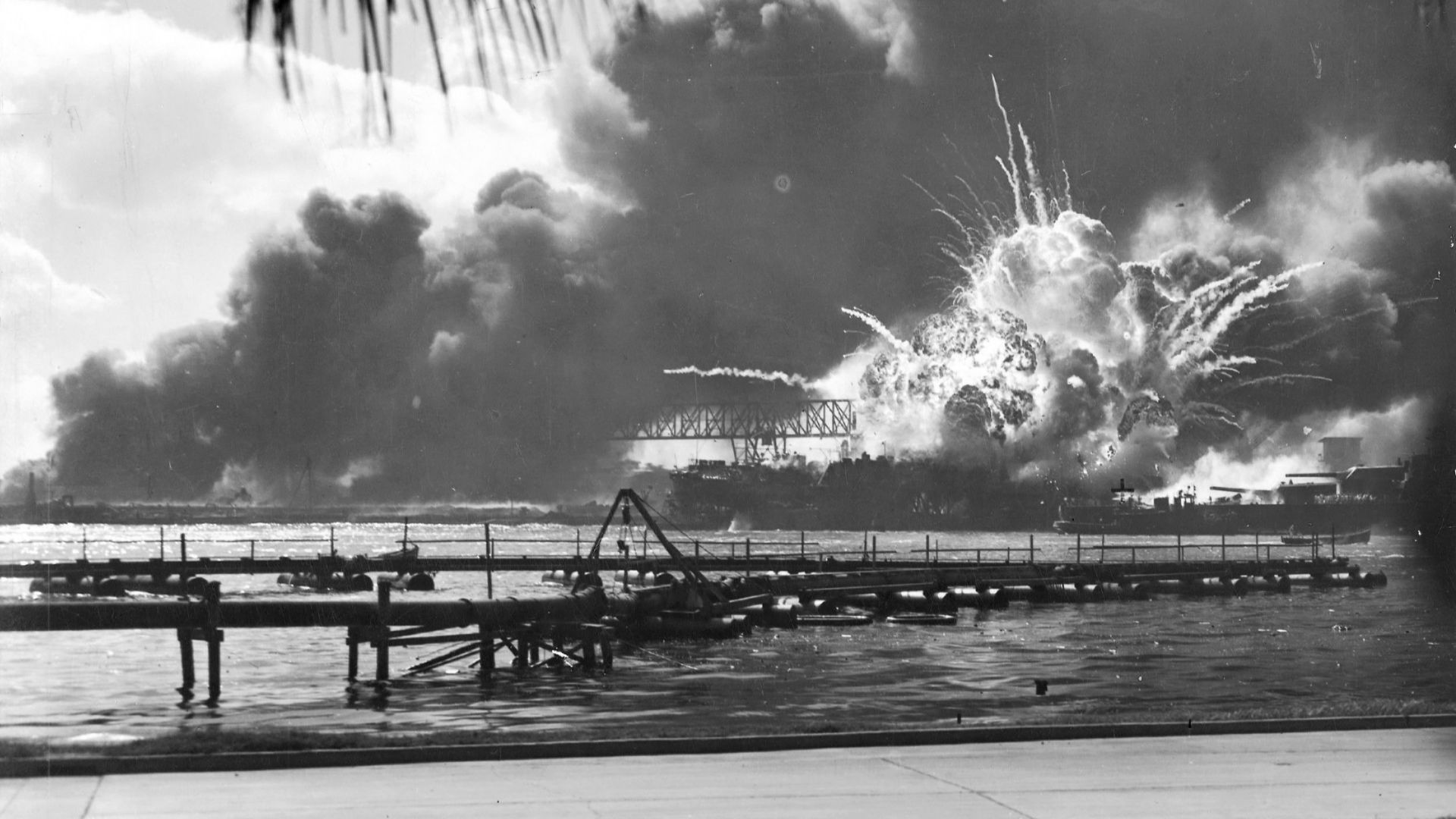 2. Ils ont répondu à l'appel après Pearl Harbor