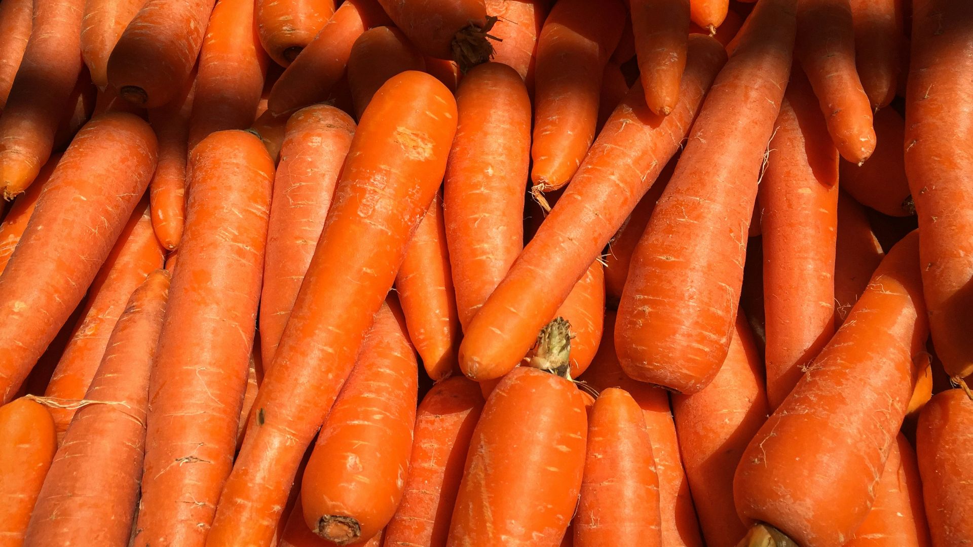 5. Carottes