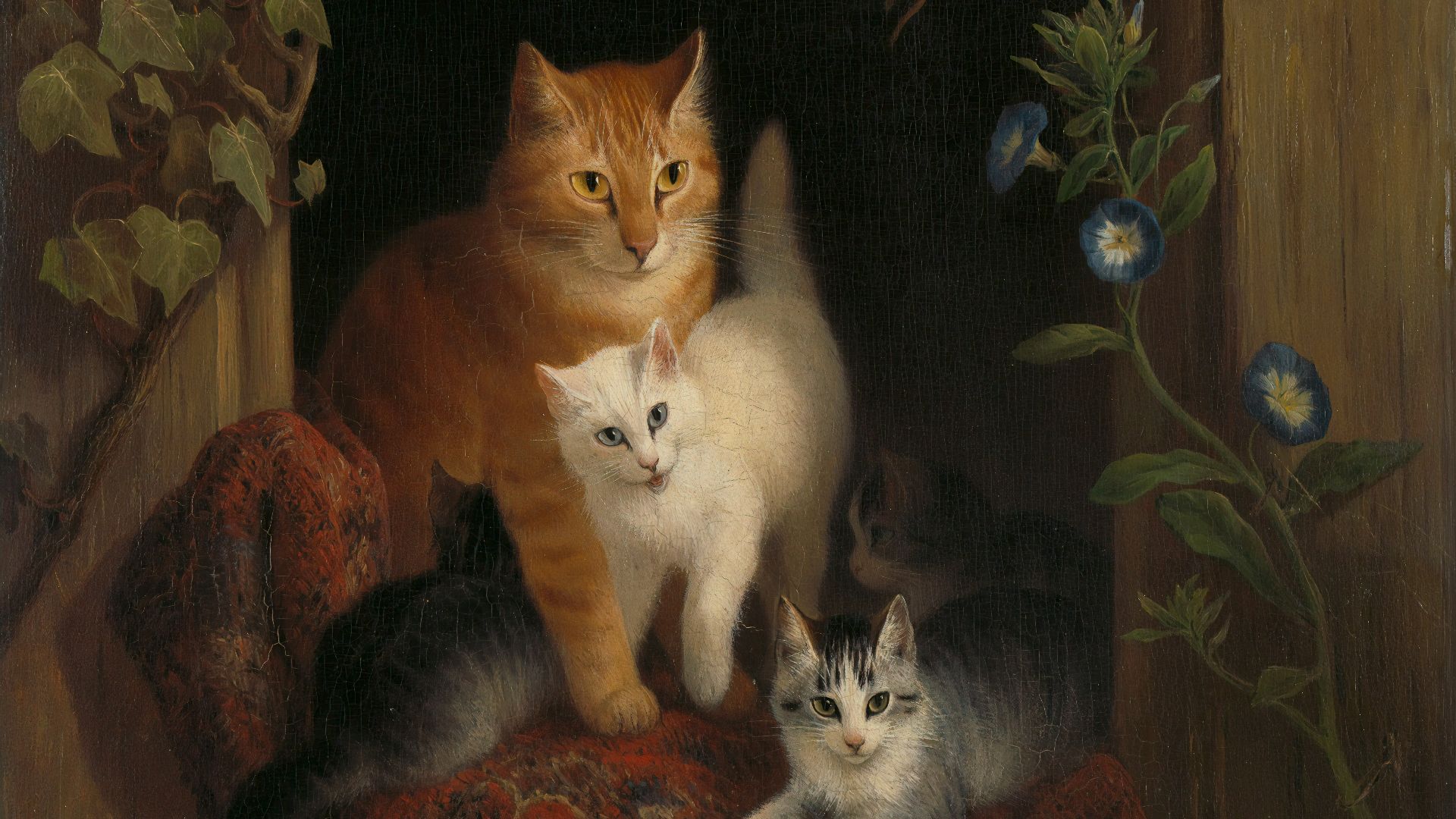 16. Les chats