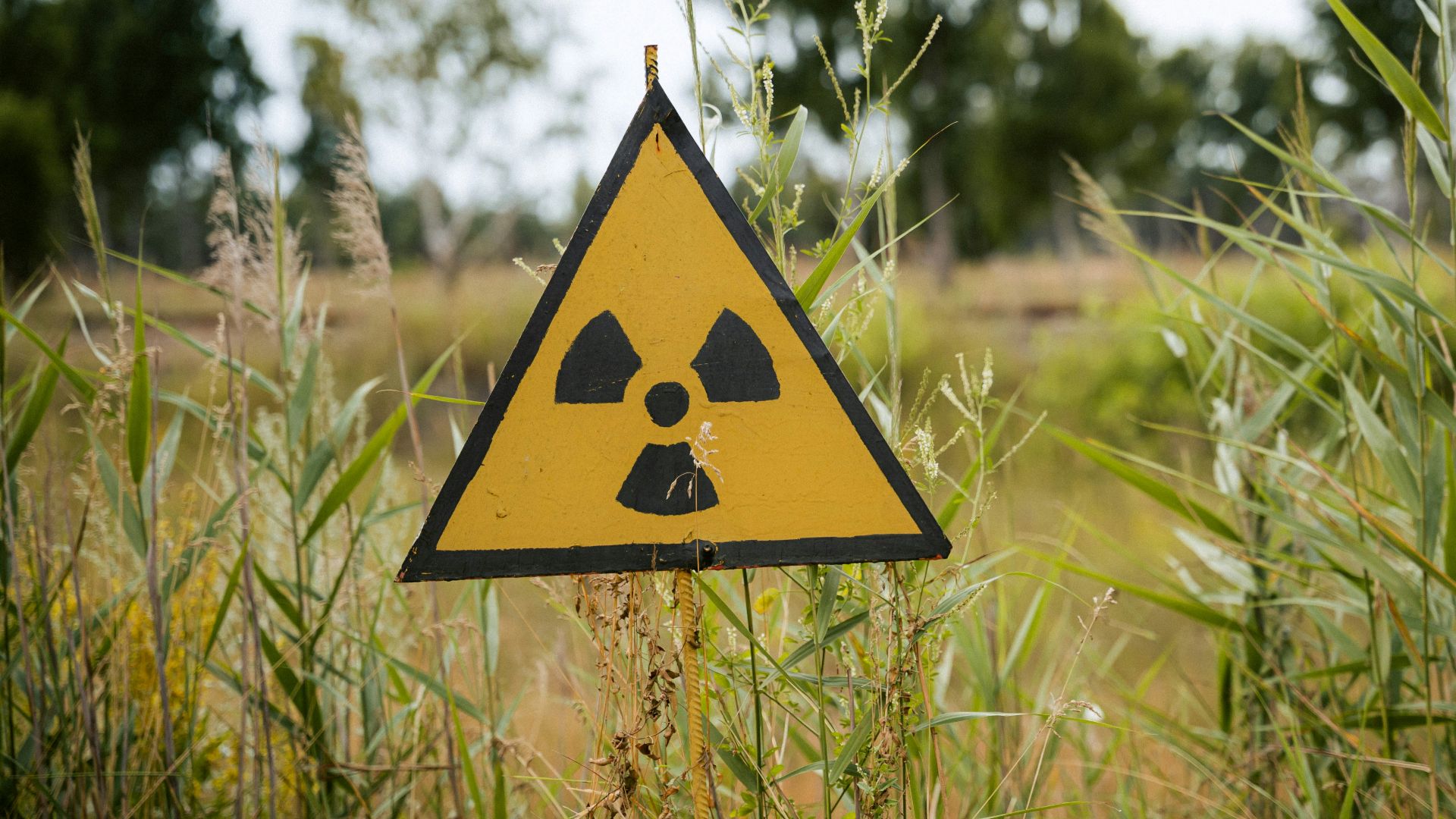 12. La lueur verte fantomatique des « Radium Girls »