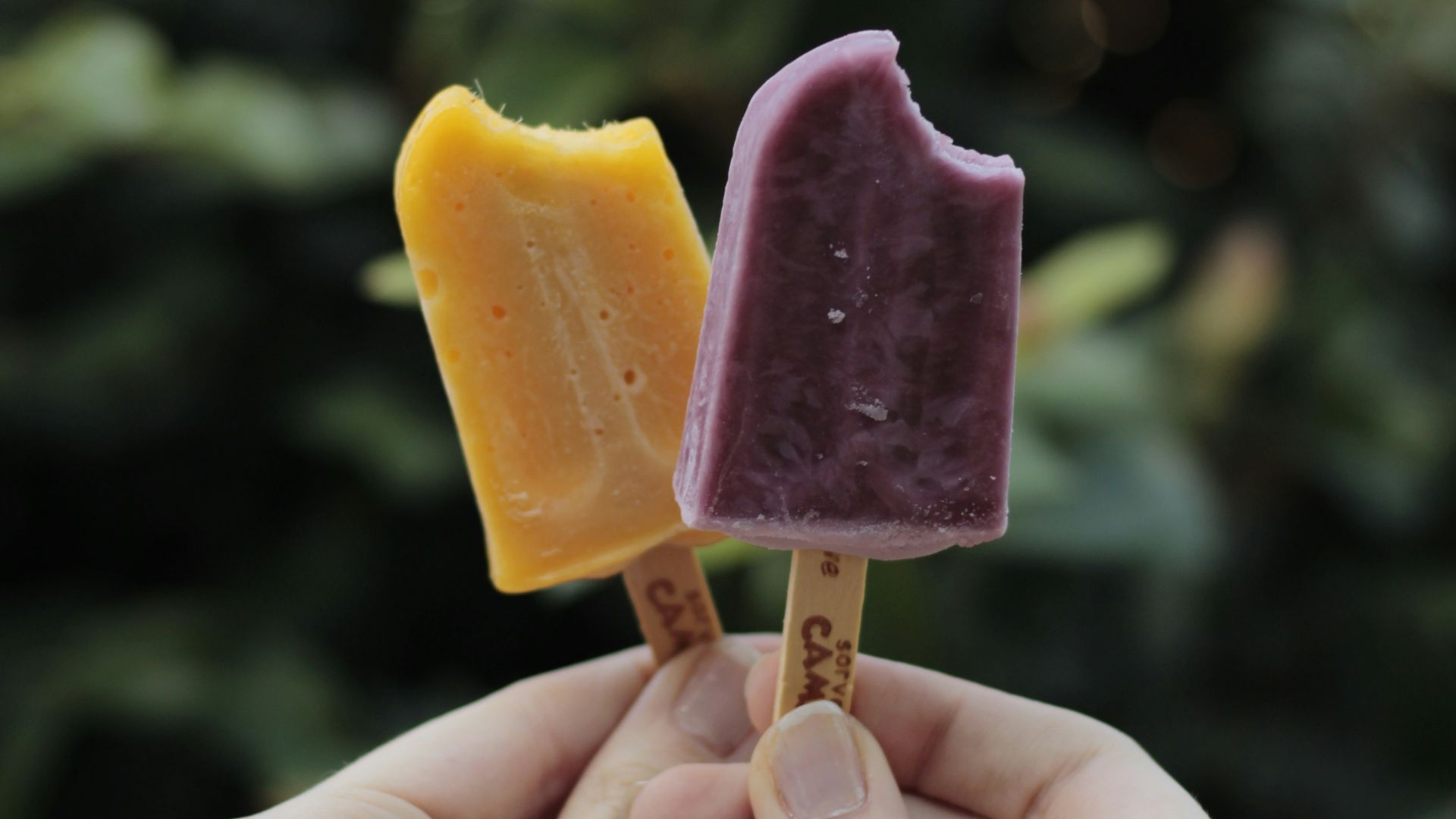 1. Glaces au pudding Jell-O