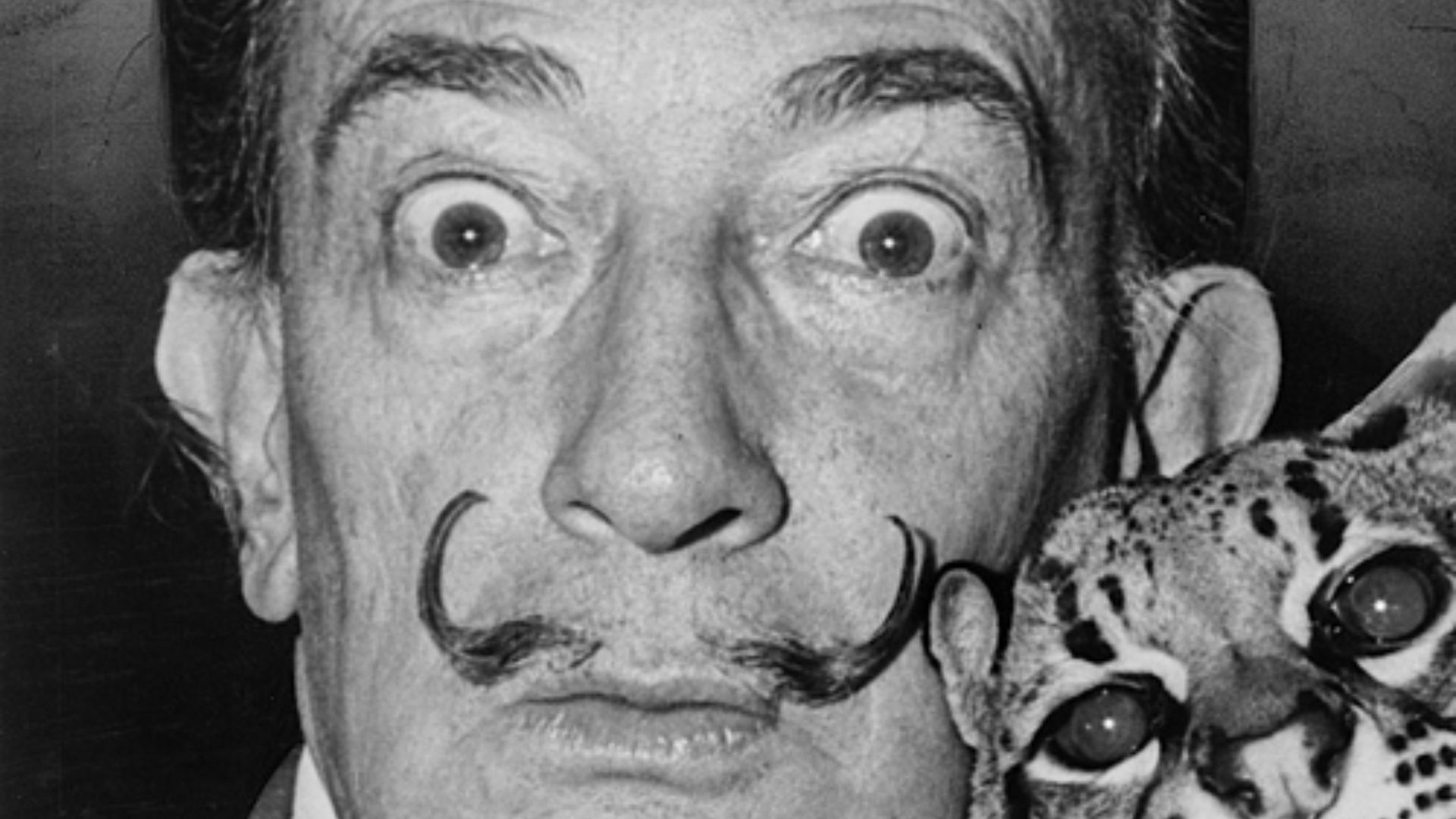 1. Salvador Dalí