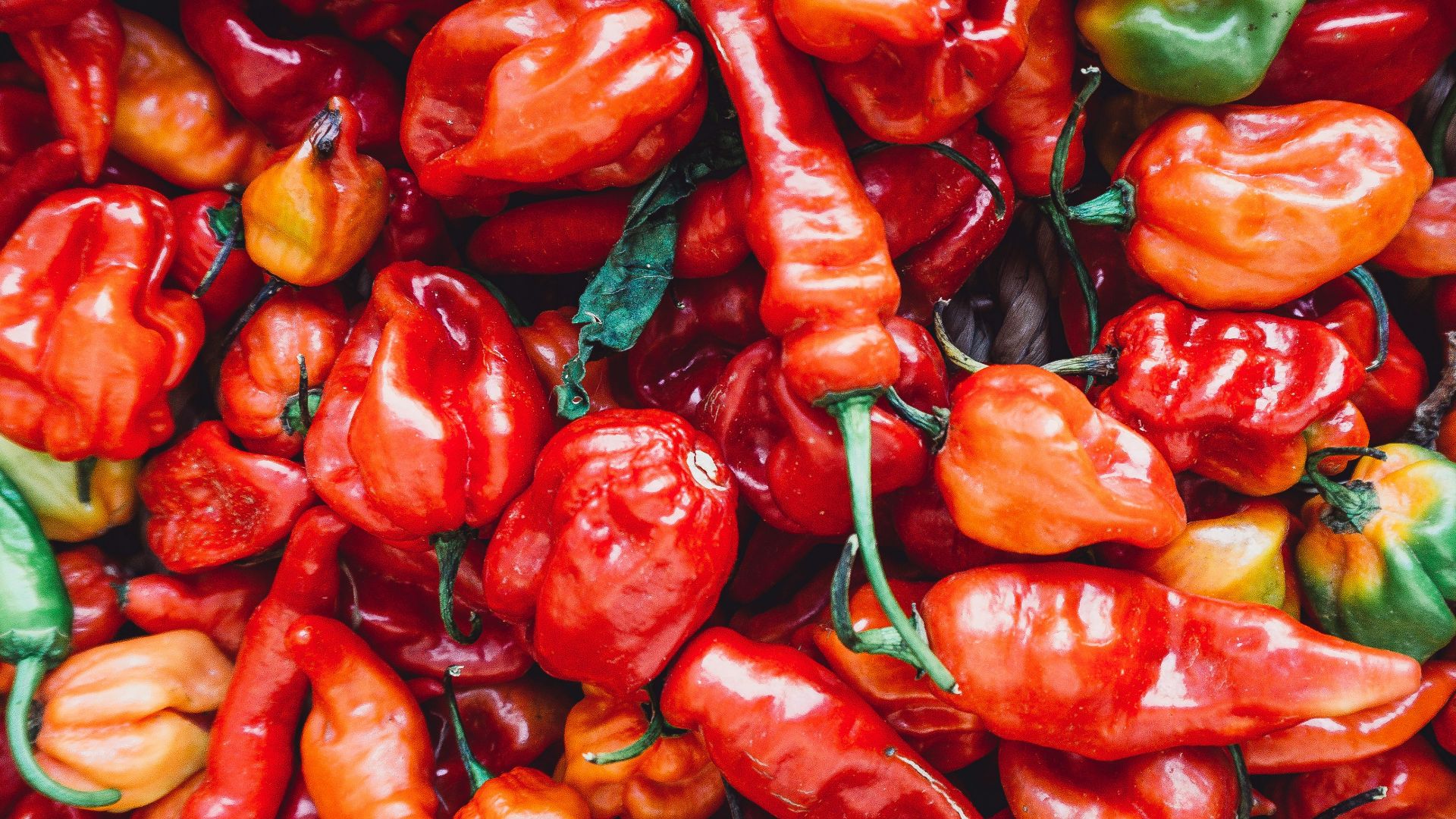 10. Mélanger plusieurs variétés de piments