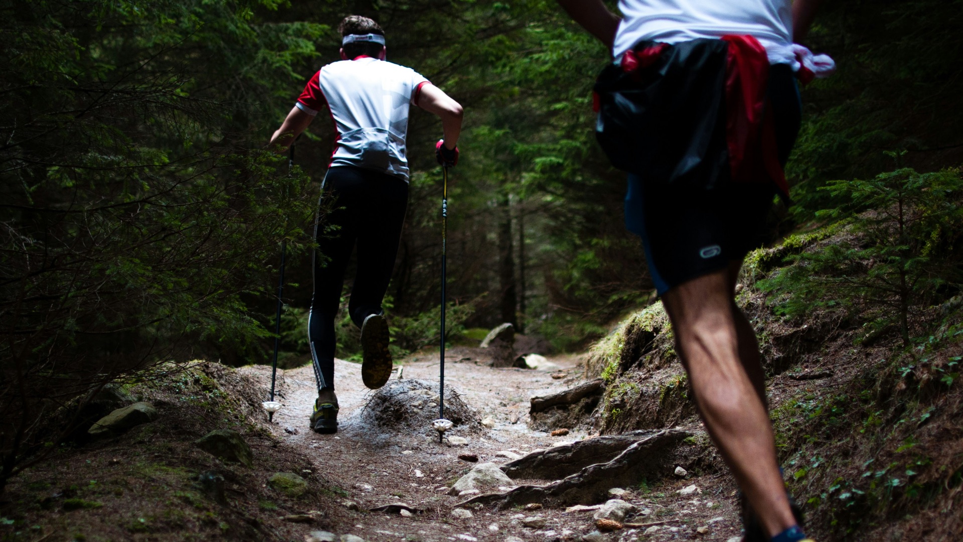 4. Sentiers de randonnée sur terrain accidenté