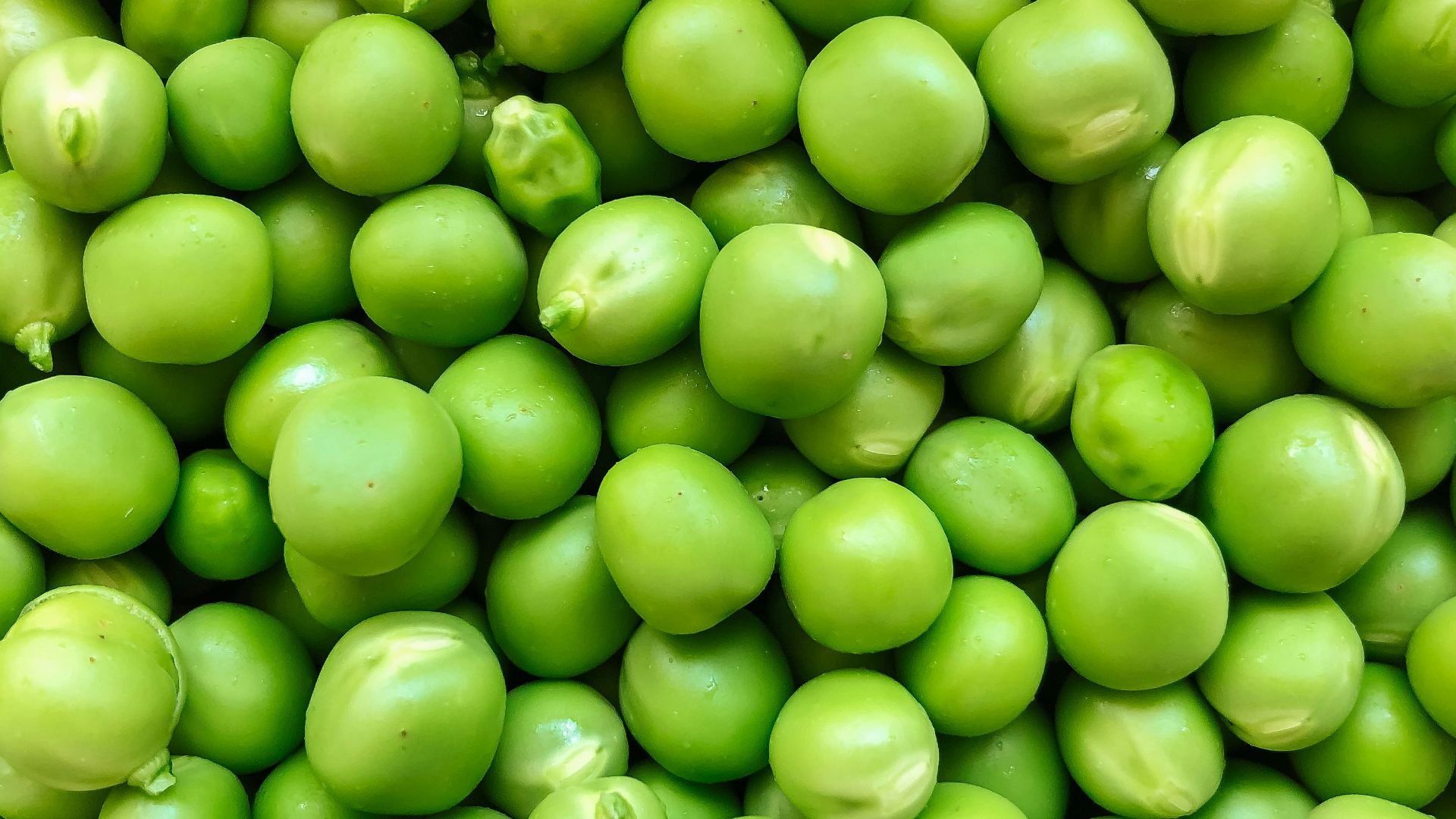 13. Saucisse militaire aux petits pois